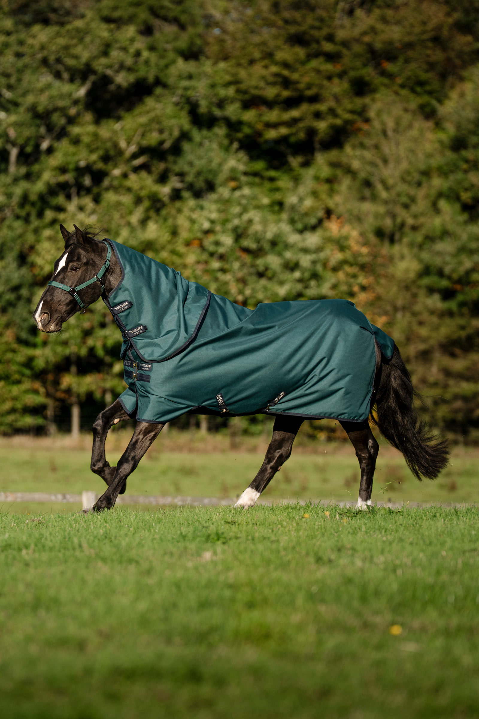 Horseware Amigo Ripstop 900D Plus buitendeken voor pony, 100 g