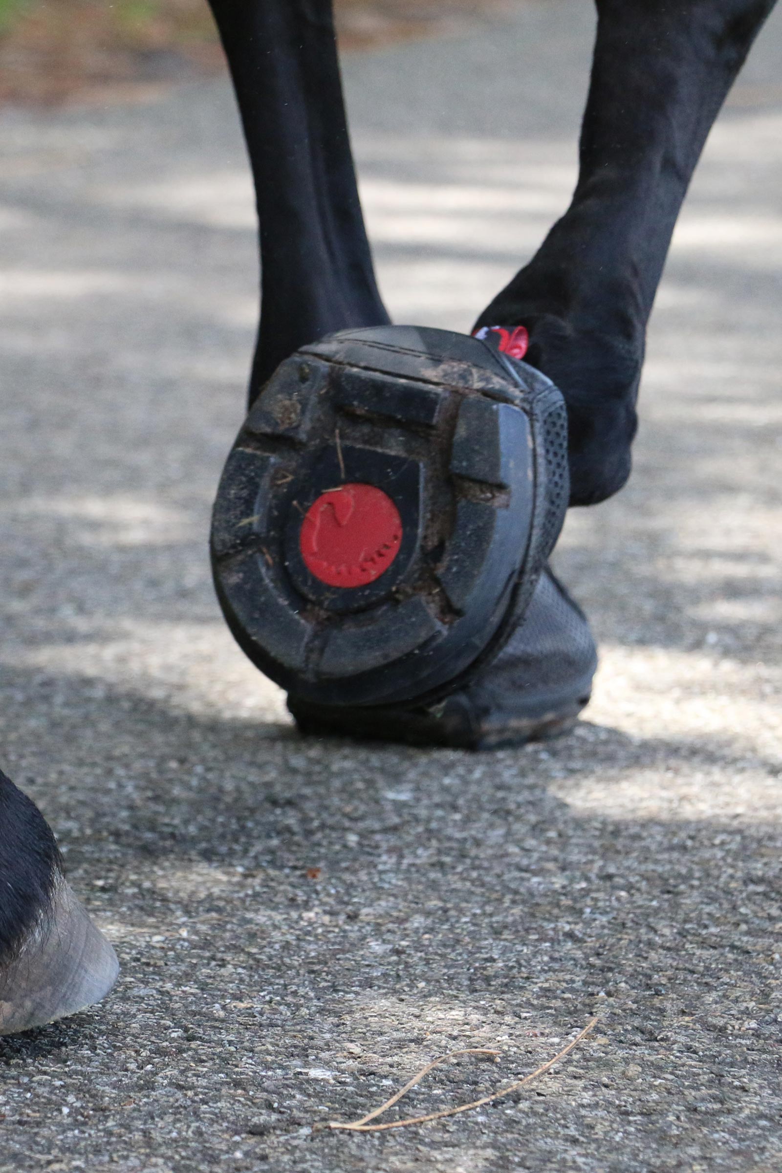 Cavallo Hoof Boots F.R.A. Trek Hoefschoenen (smal/paar)