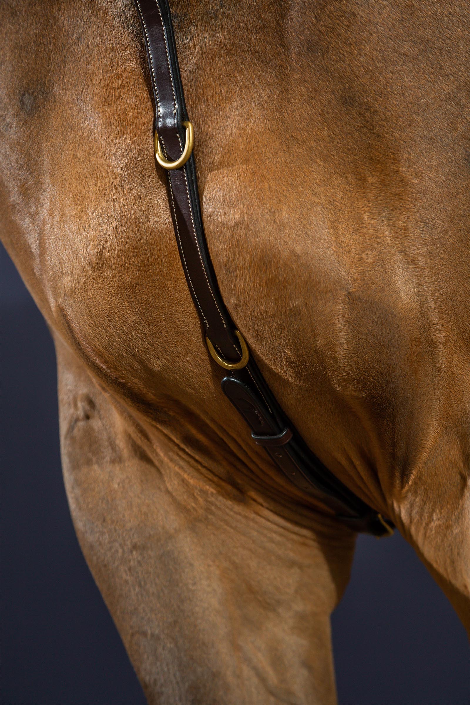 Dy'on D Collection voortuig met brug