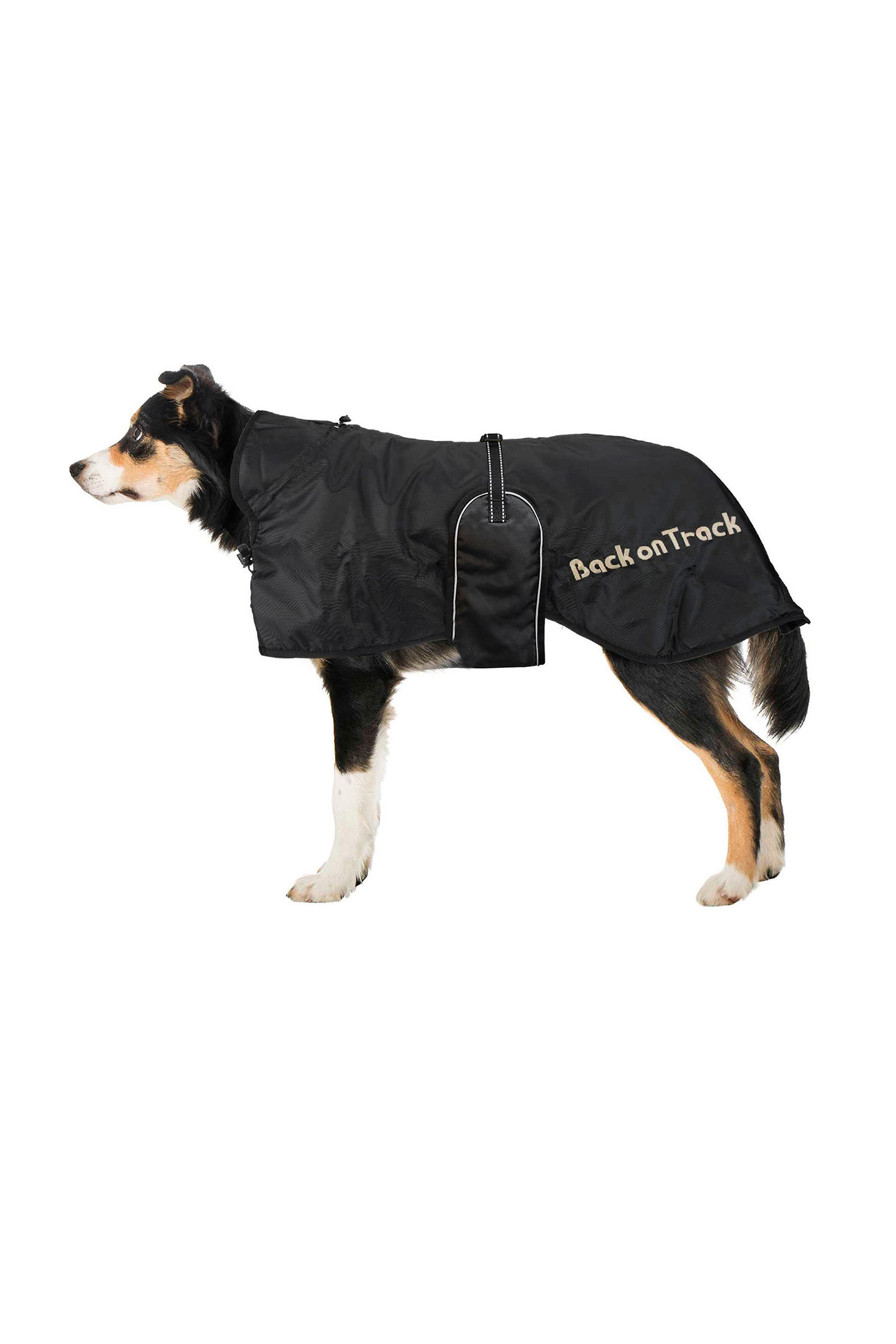 Back on Track Hondendeken (43-59)