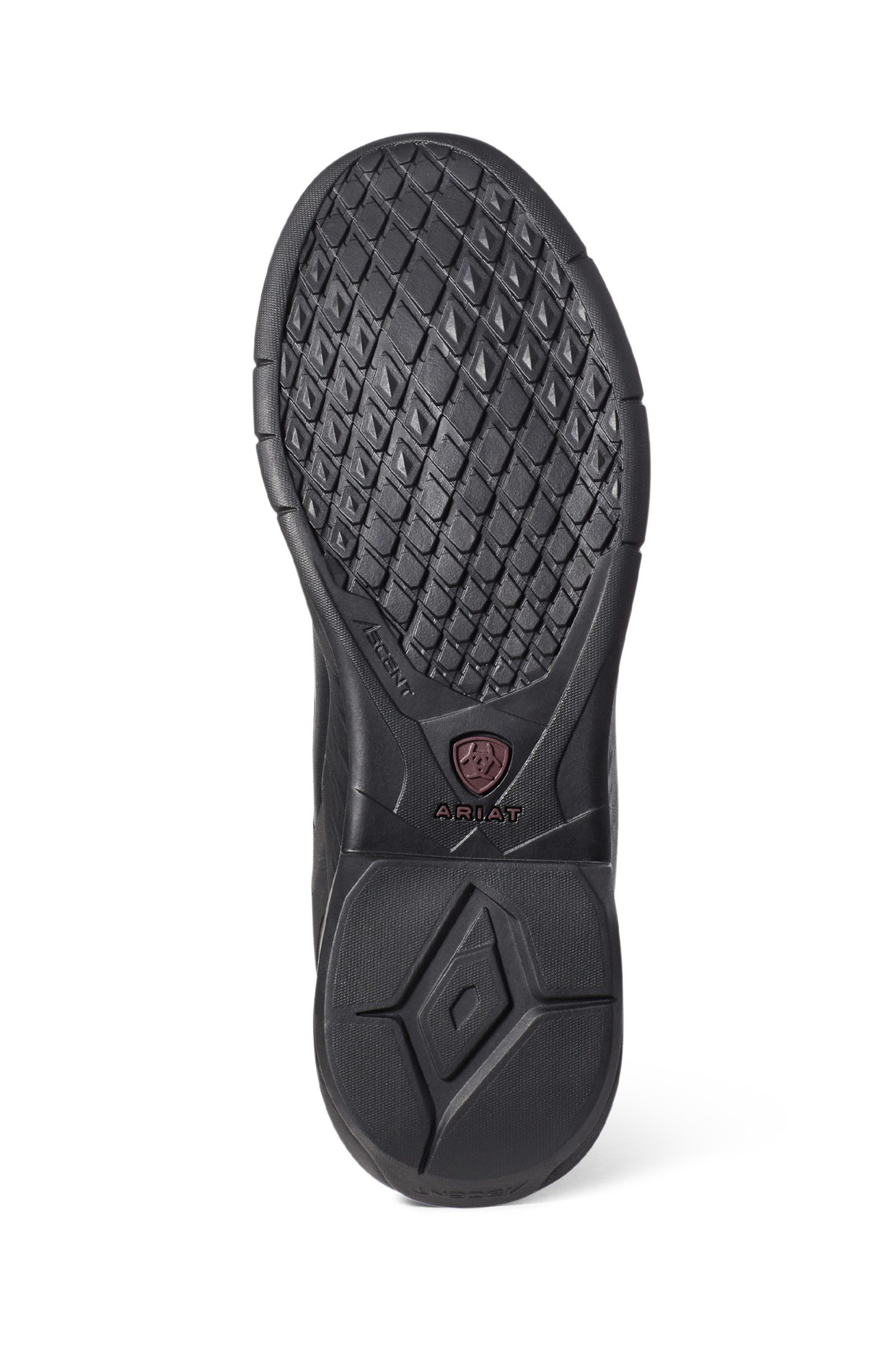 Ariat Ascent rijlaarzen, dames