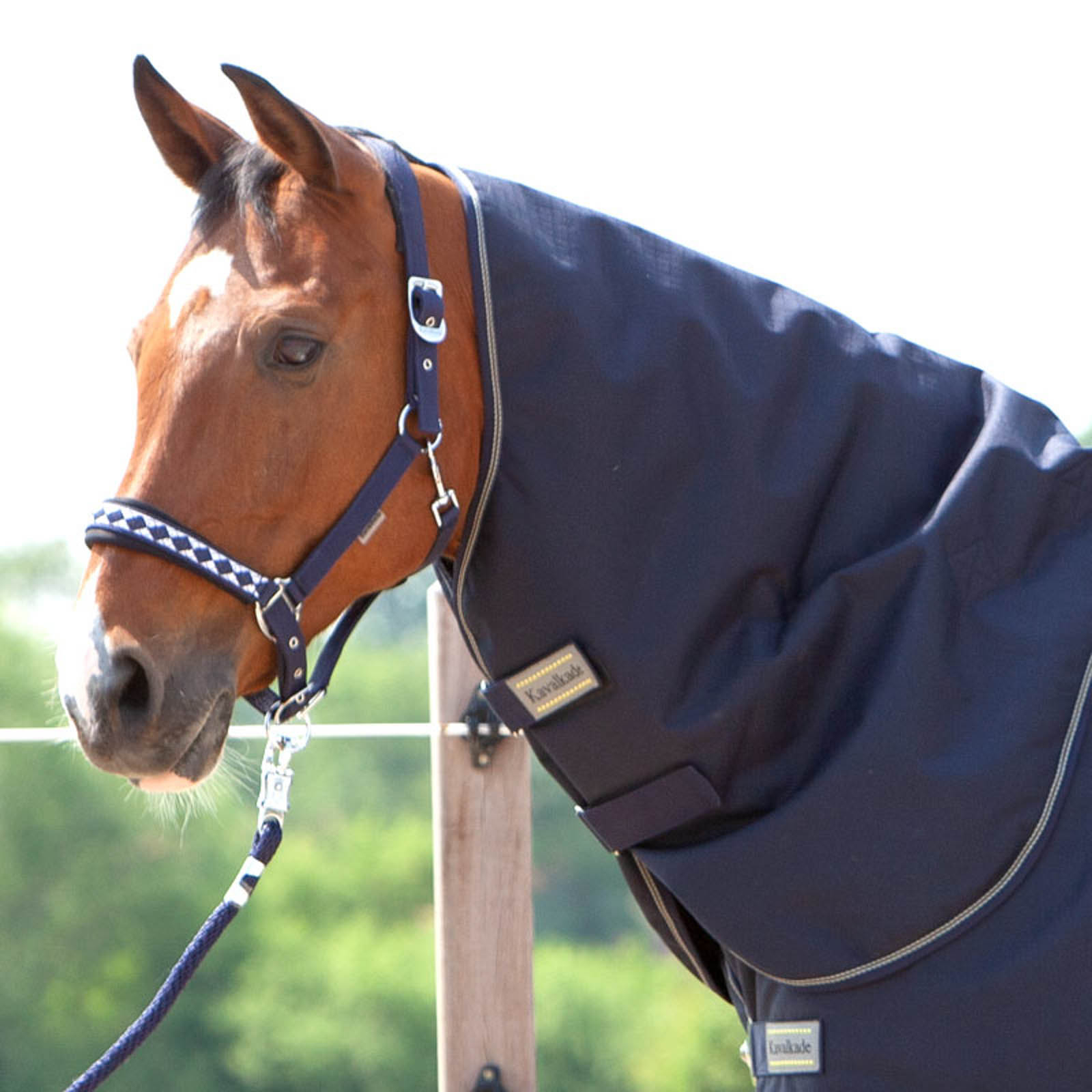 DB/AB Kavalkade Hals voor Montreal Regendeken, 100 grams