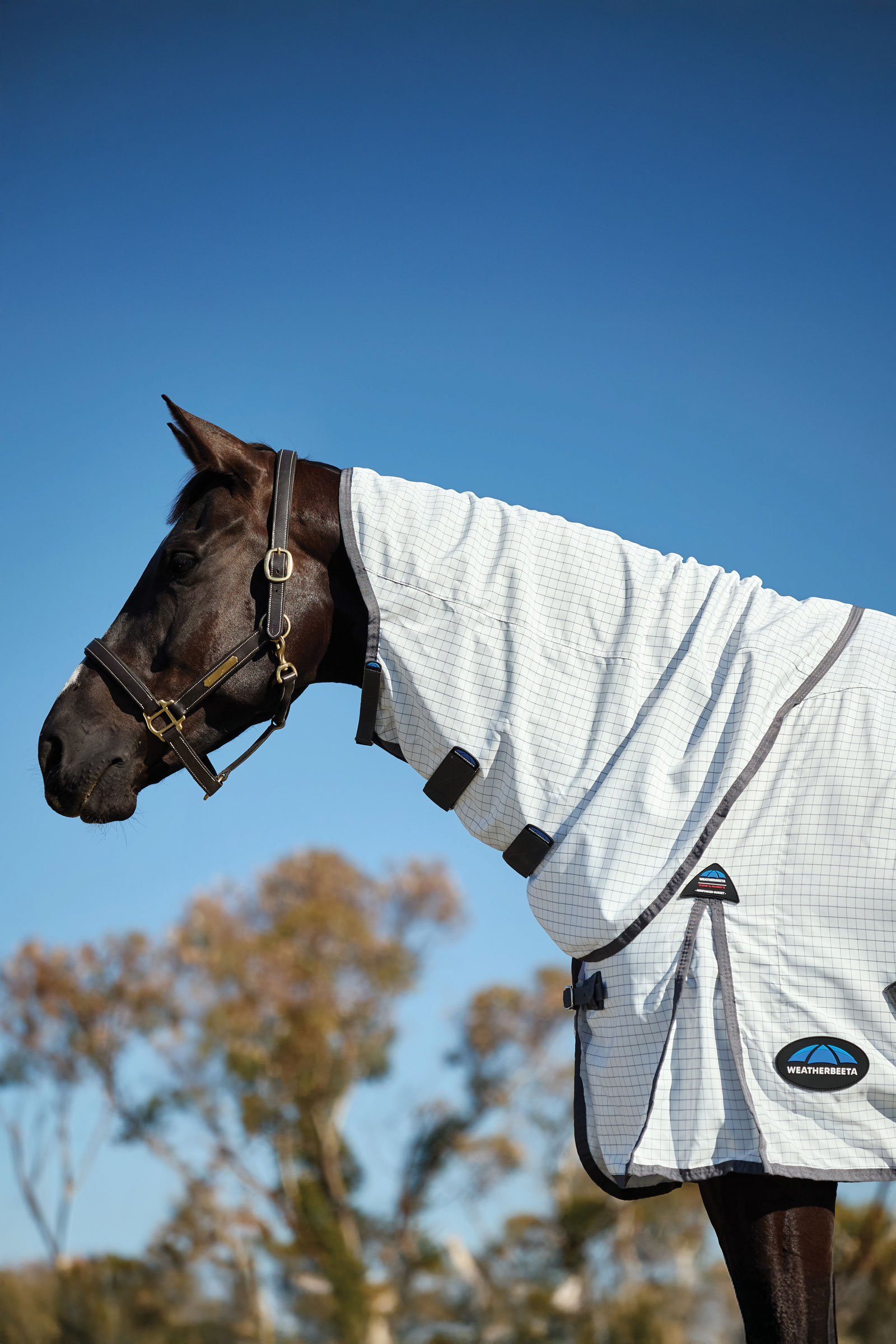 Weatherbeeta Hybrid deken combo met vaste hals, 0 g  