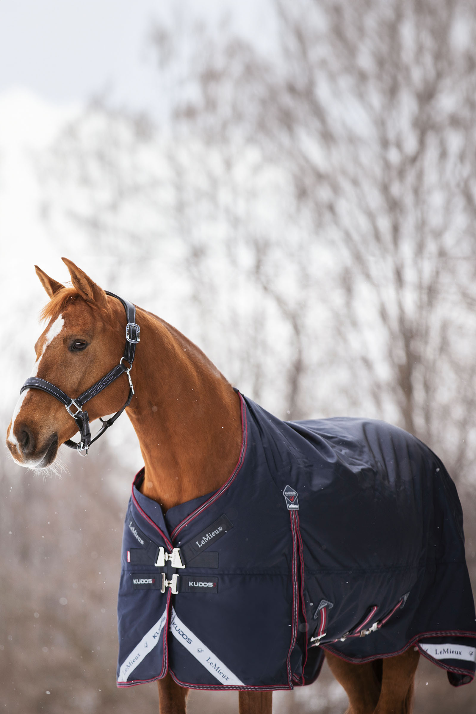 LeMieux Kudos lichte regendeken 100g