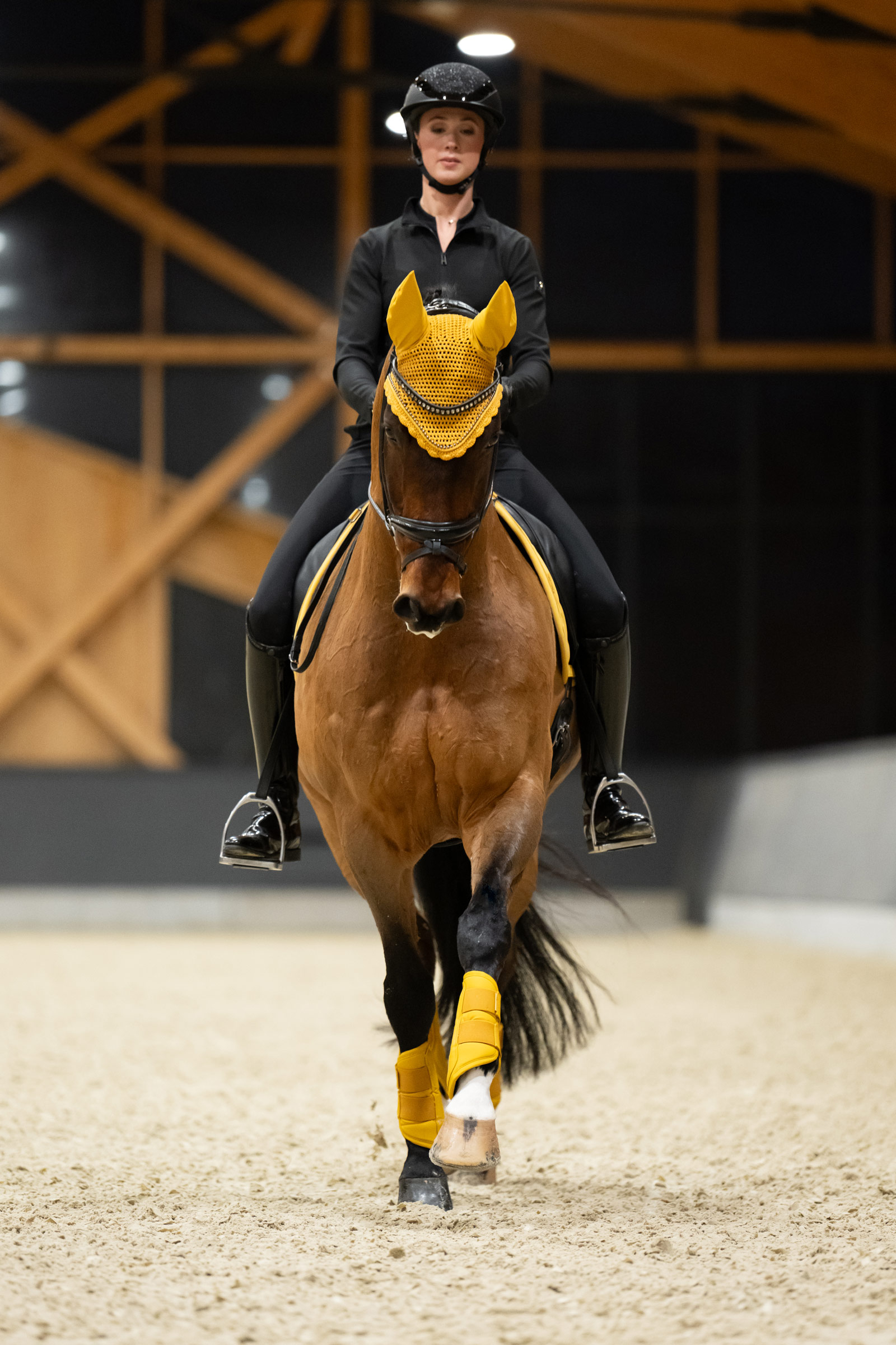 Eskadron Platinum 25 Peesbeschermers van kunstleer