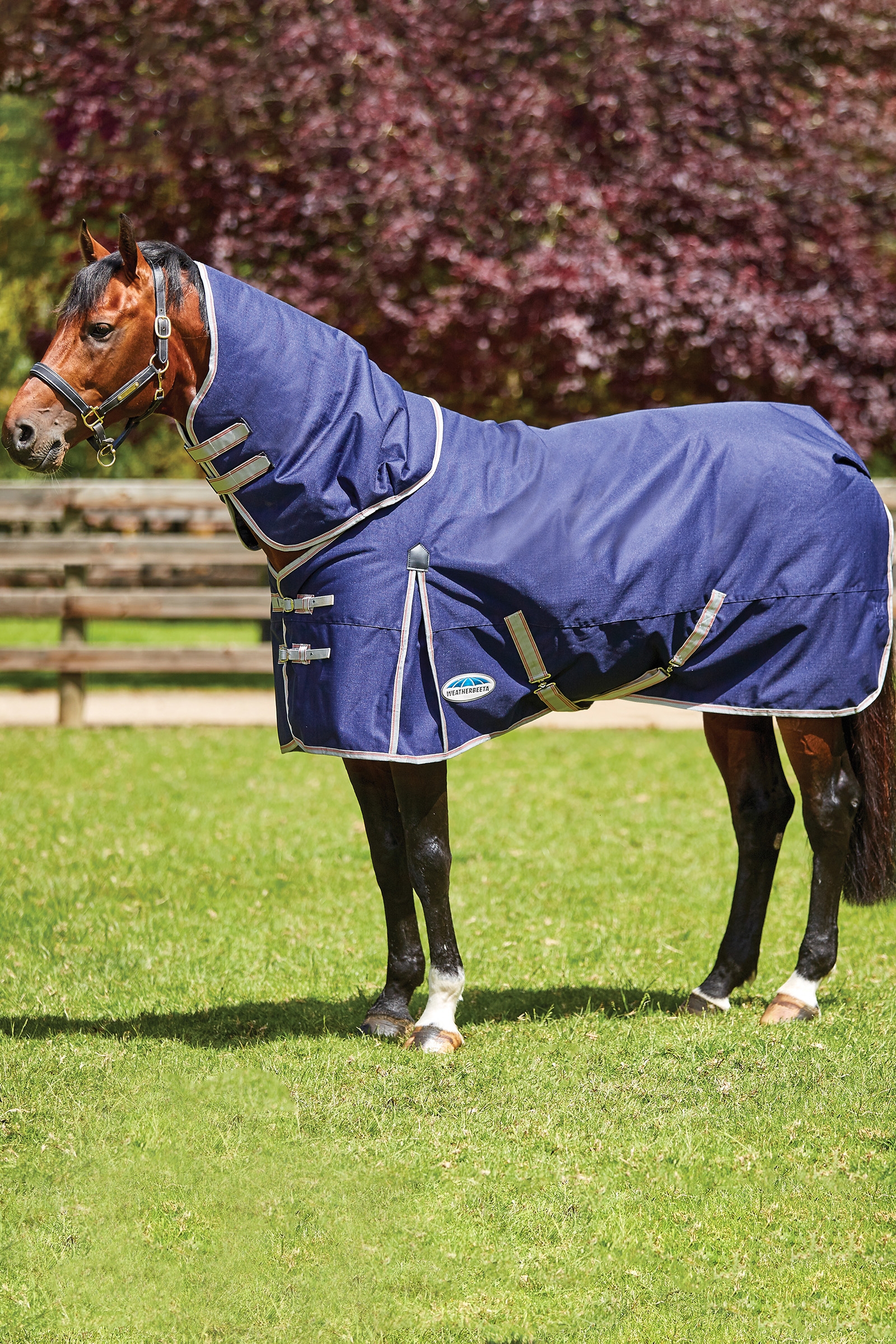 Weatherbeeta Comfitec Essential Detach-a-Neck Medium Turnout Rug, 220g