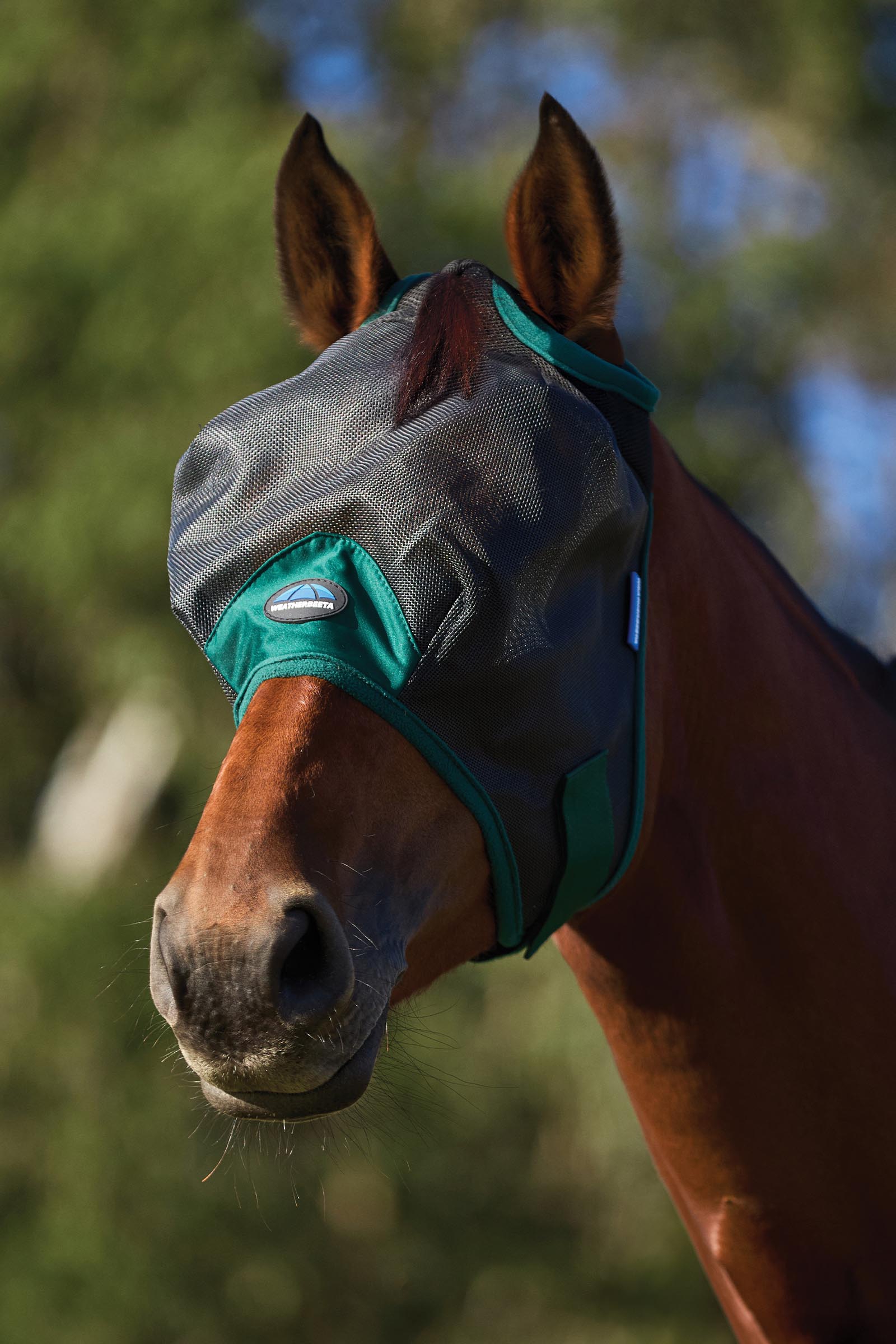 Weatherbeeta Comfitec Durable Mesh Vliegenmasker  