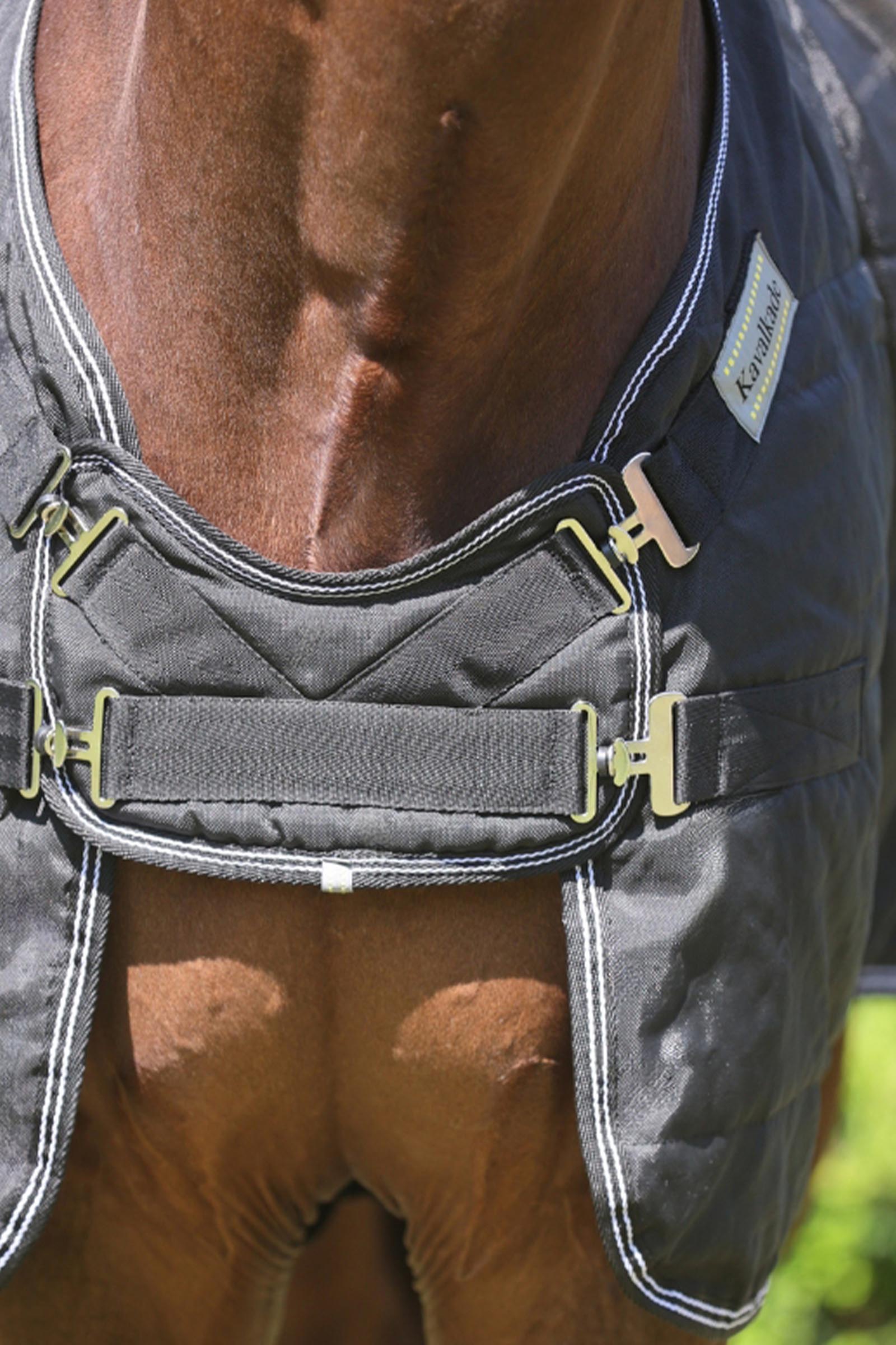 Kavalkade Stallion deken met borstflap, 50 g