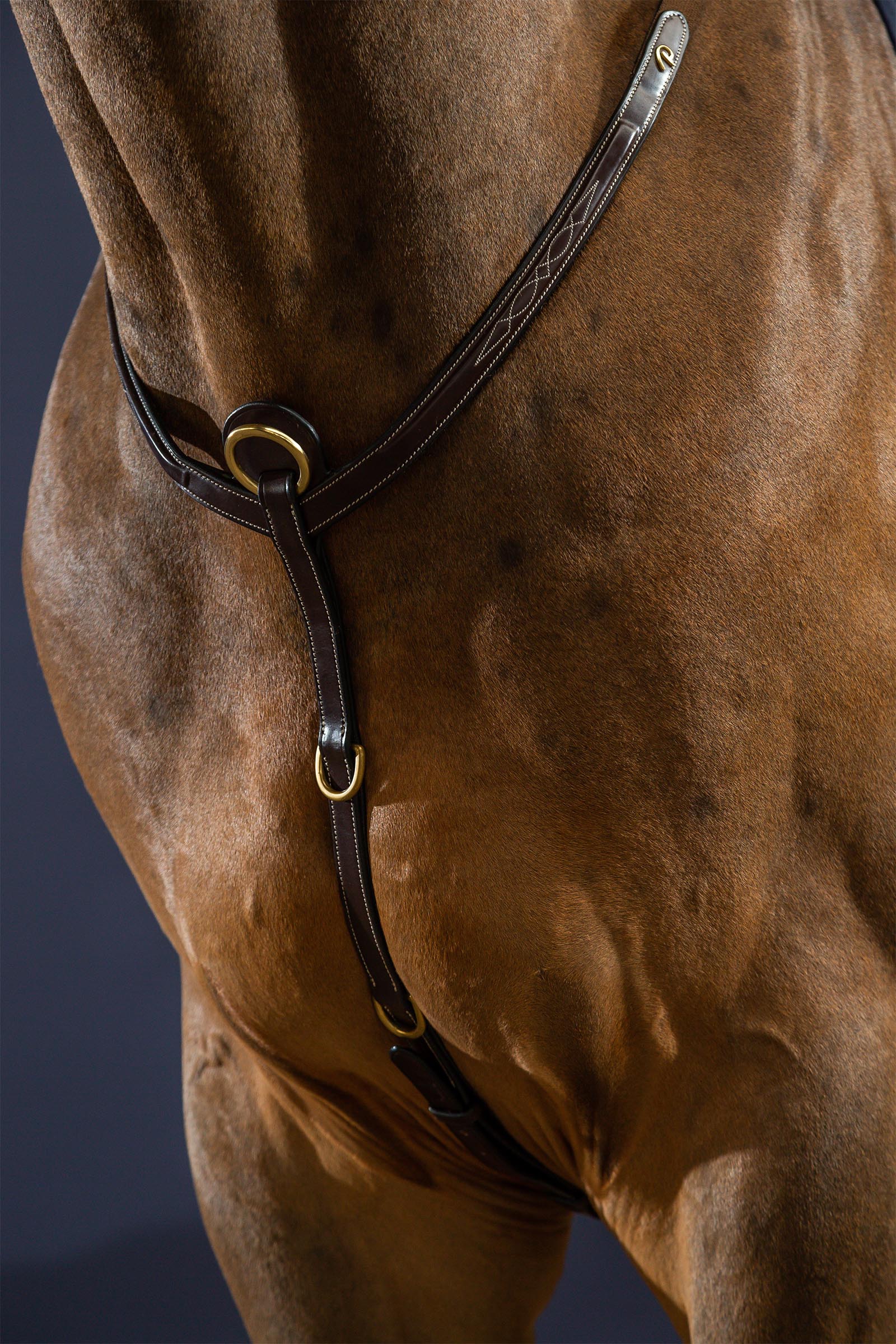 Dy'on D Collection voortuig met brug