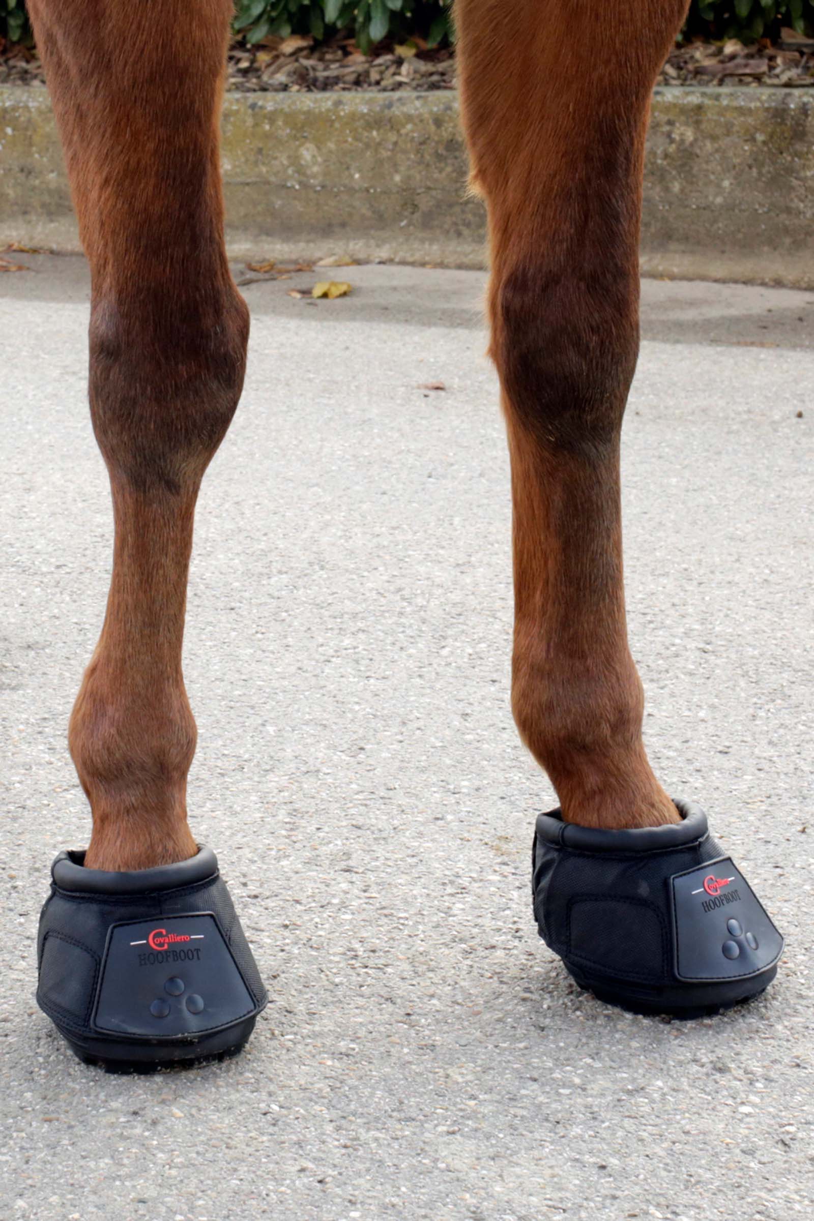 Covalliero hoefschoen (1 stuk)