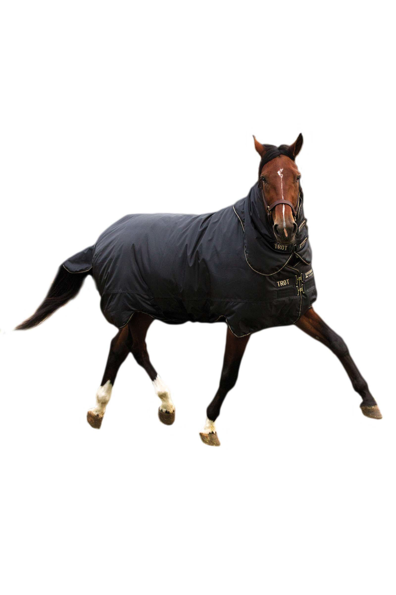 Horseware Trot Plus Outdoordeken met afneembaar halsdeel, 350g