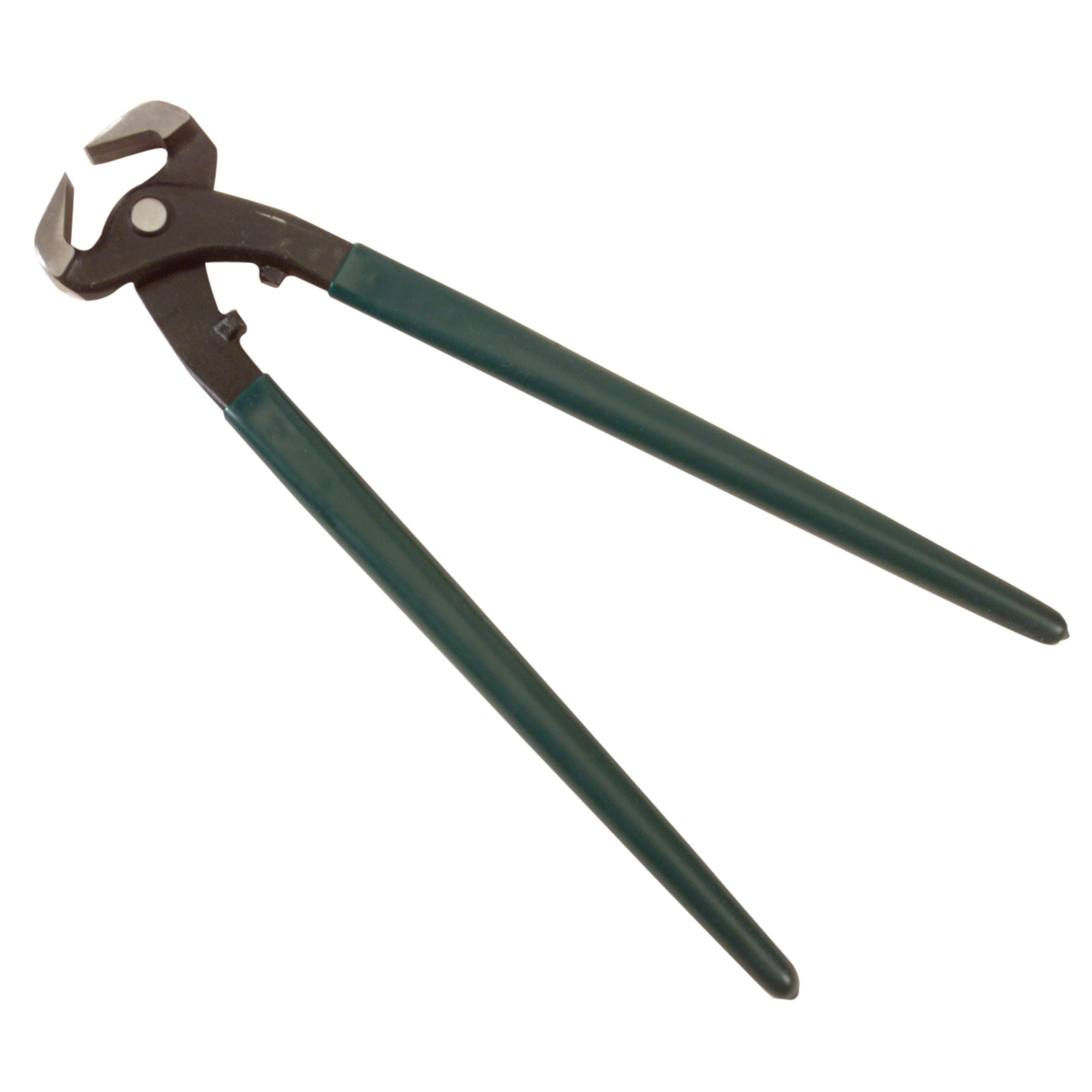 Roma Hoefknipper, 15 inch