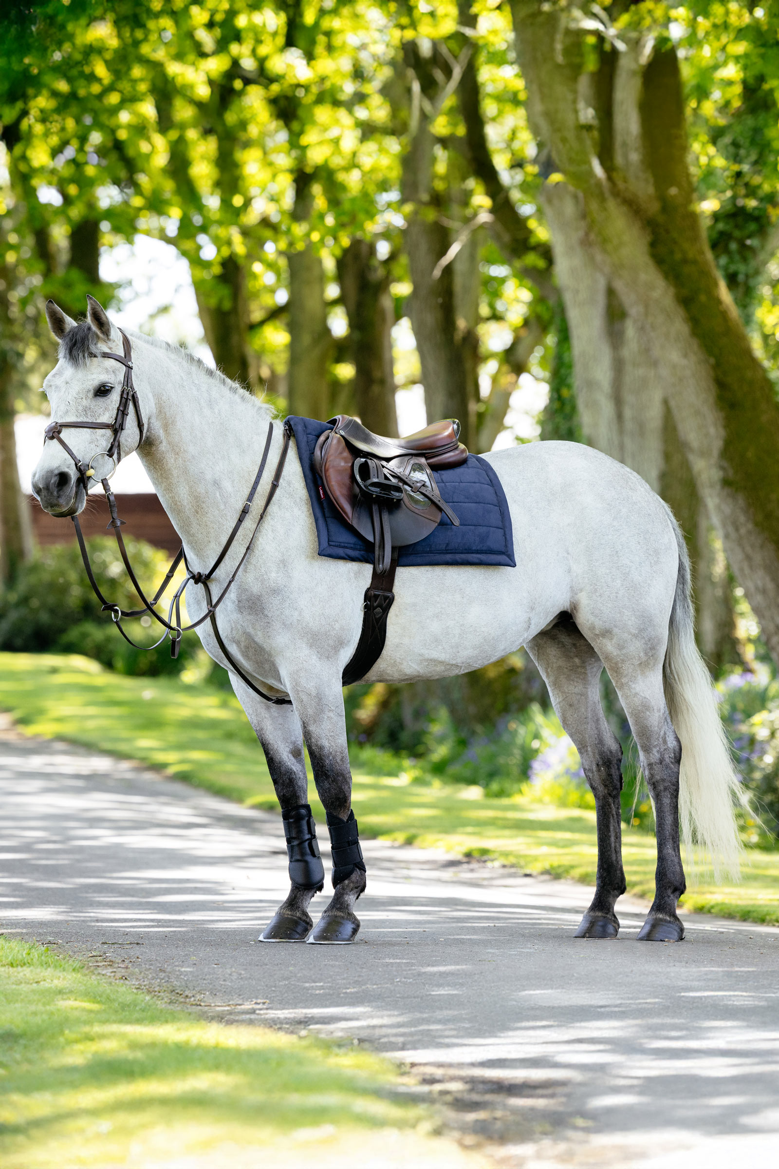 LeMieux Pillow gevoerd veelzijdigheidszadeldek