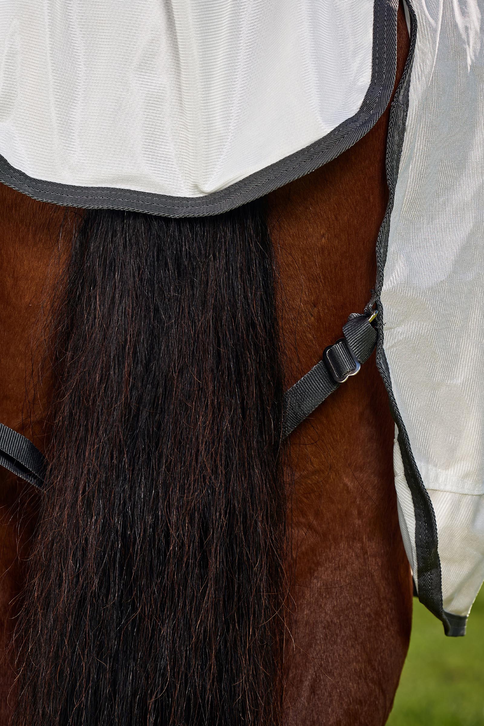 Weatherbeeta ComFiTec Tyro Vliegendeken combo met vaste hals, 0 g  