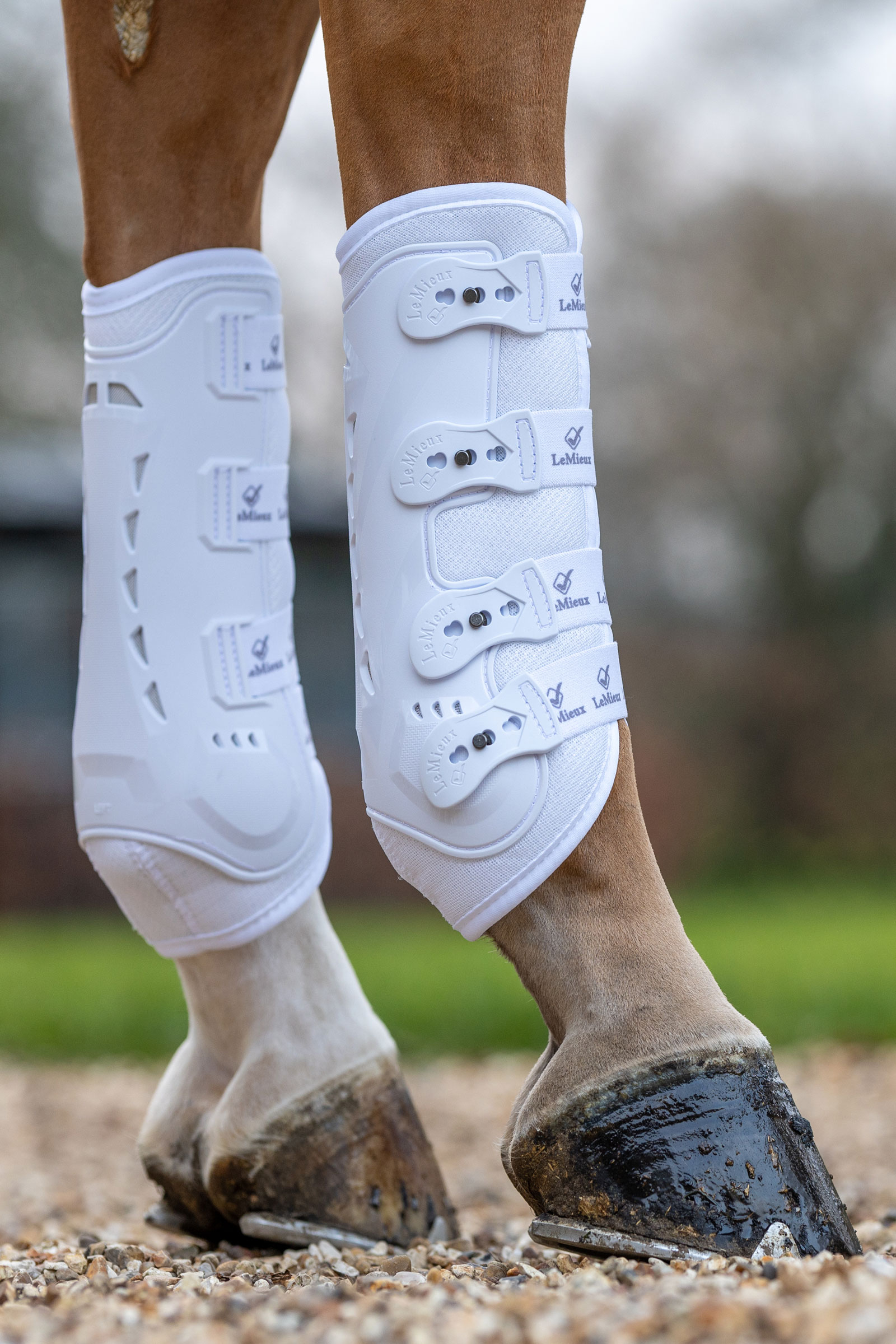 LeMieux Ultra Mesh Snug beenbeschermers achter