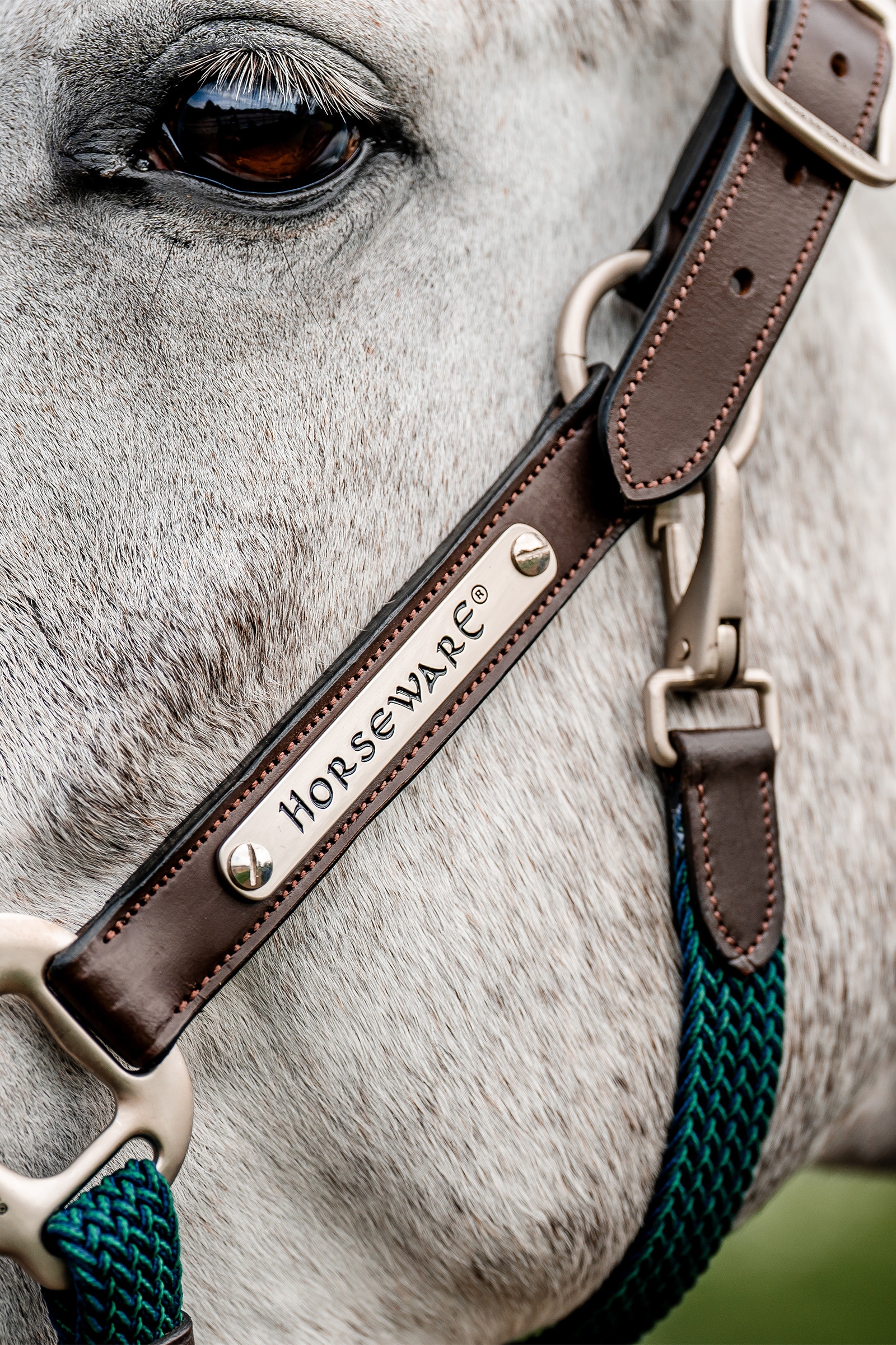 Horseware Signature Gevlochten Halster