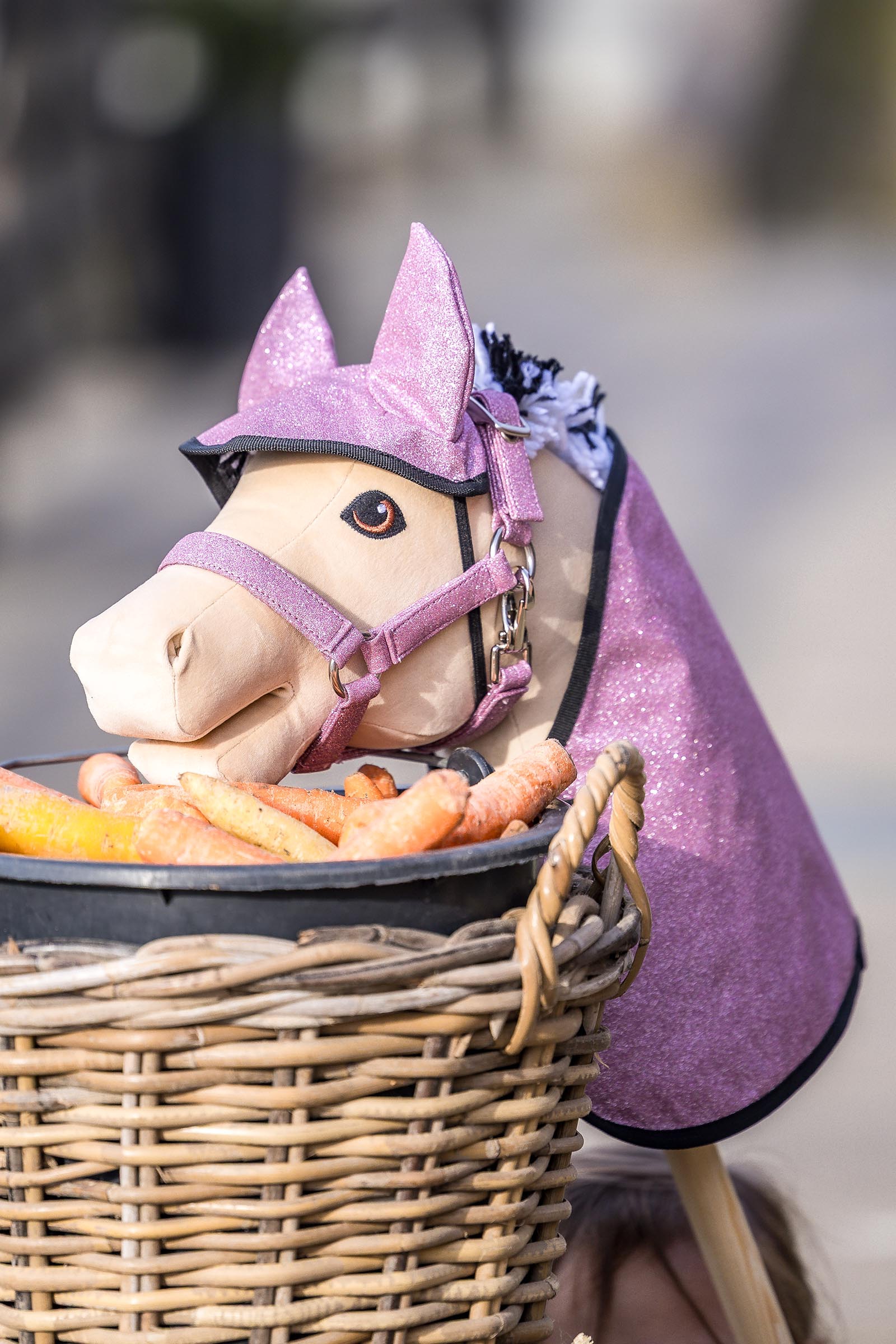 My Hobby Horse deken en vliegenkap