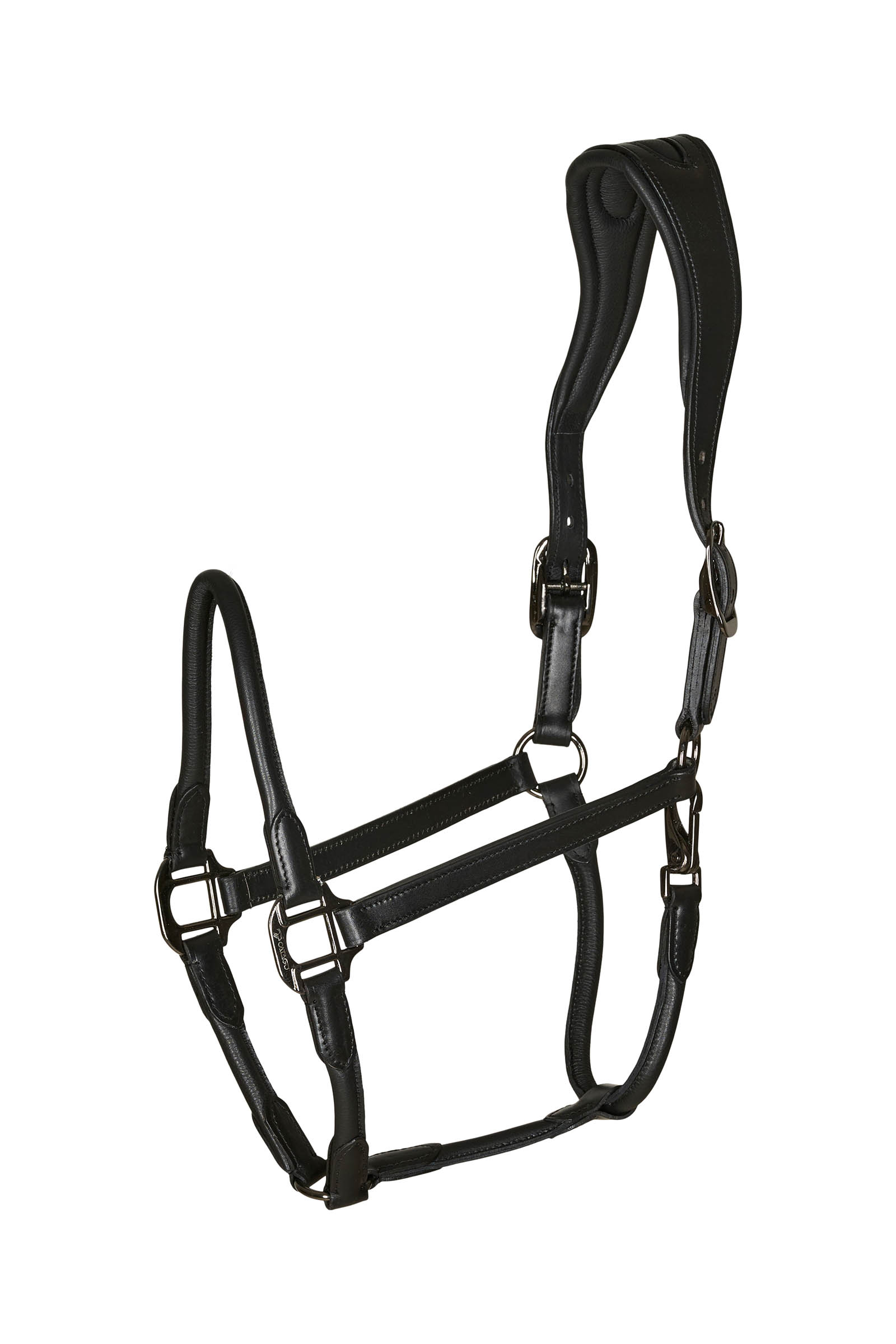 Catago leather halter with round-stitched noseband