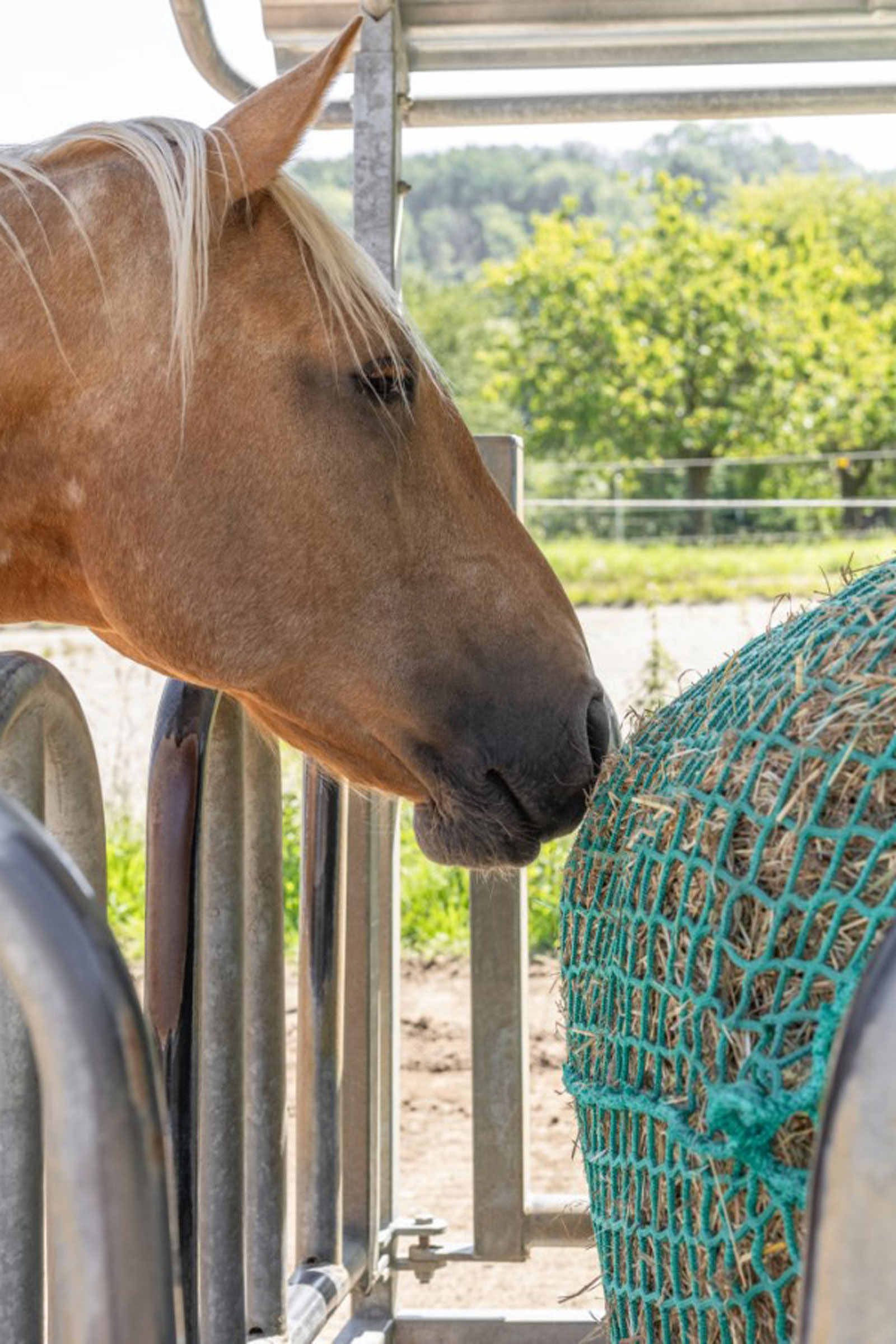 Kerbl hooinzet voor ronde balen, hangbaar