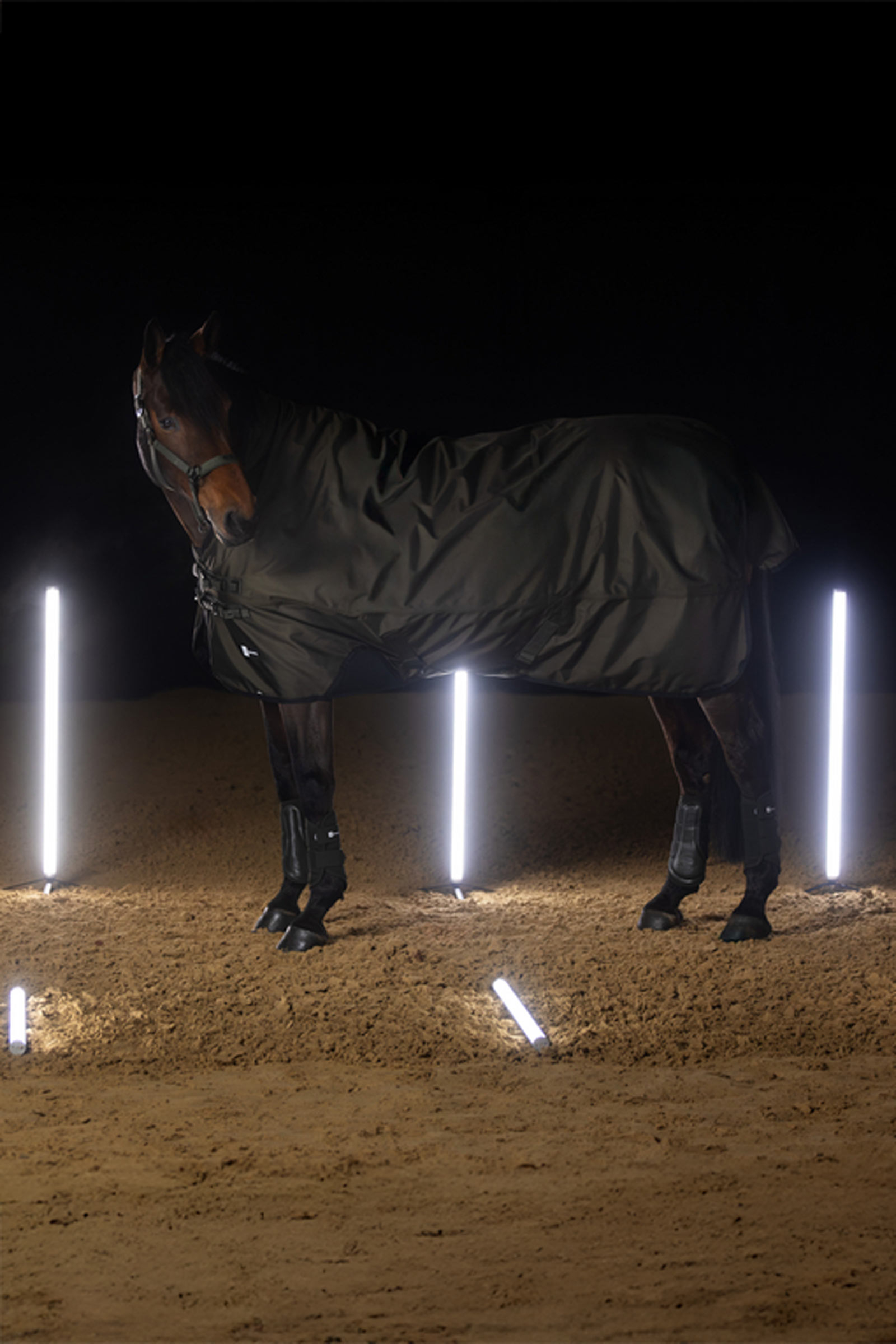 Eskadron Dynamics AW25 Beta regendeken, 150 g