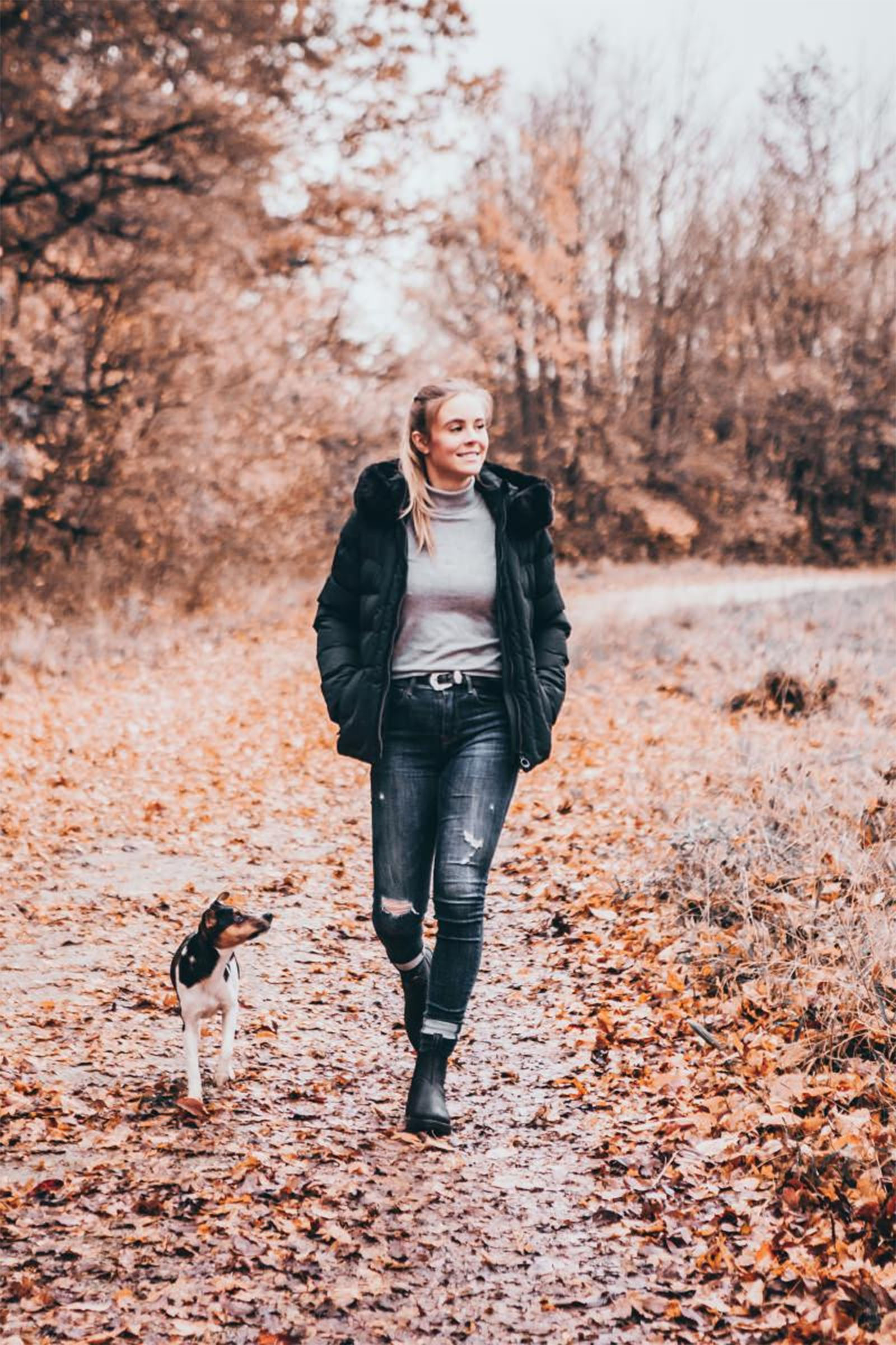 Suedwind Footwear New Work Winter Jodhpur Laarzen Chelsea