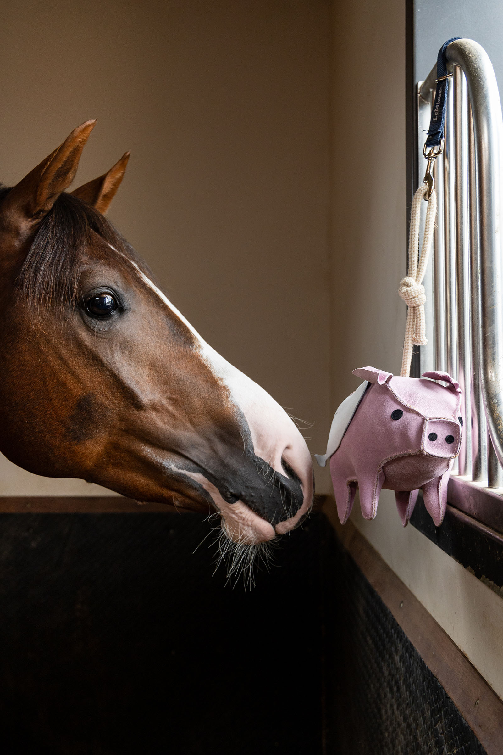 LeMieux paardenspeelgoed vliegend varkentje