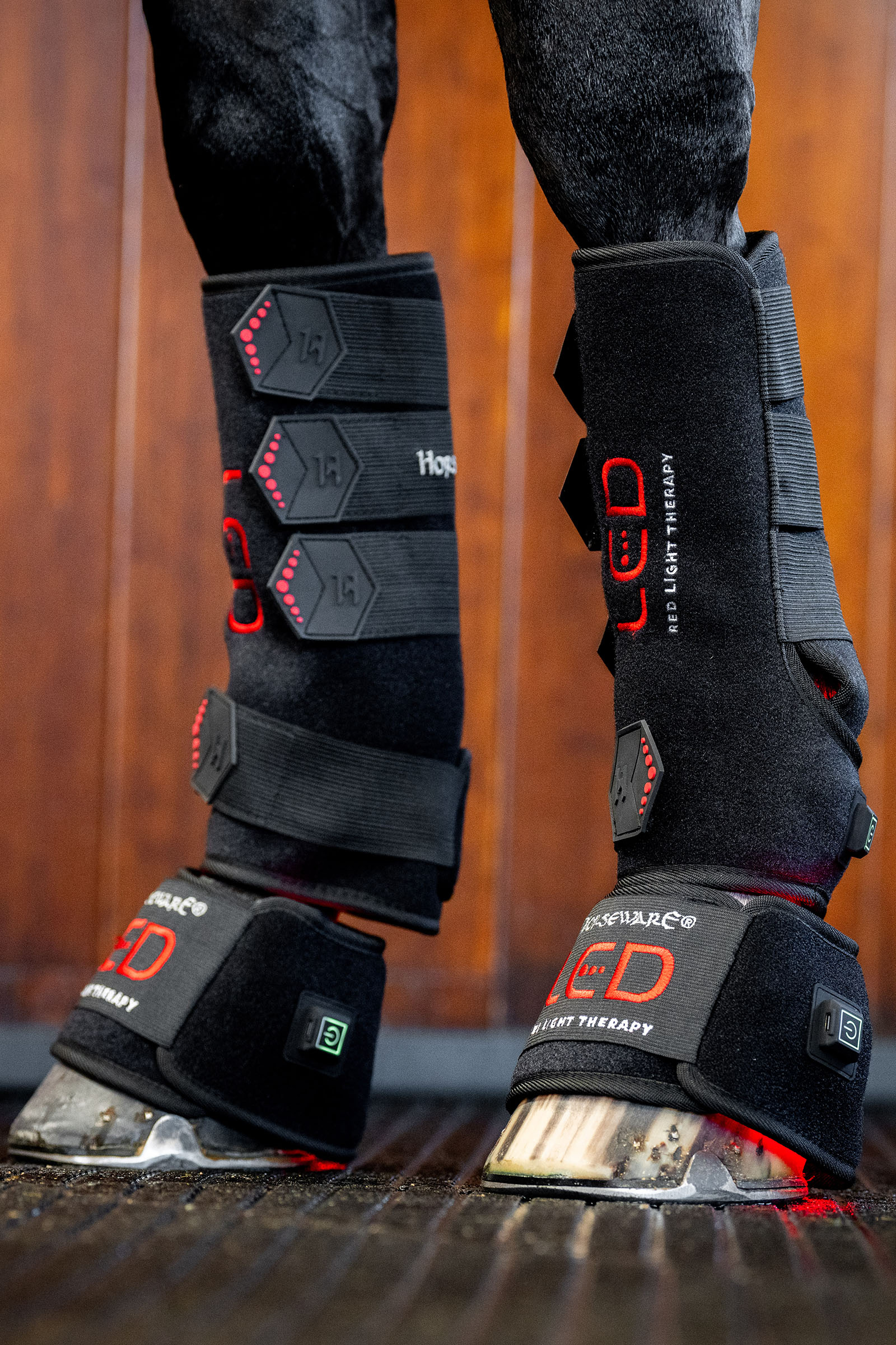 Horseware LED roodlichttherapie beenbeschermer (1 st.)