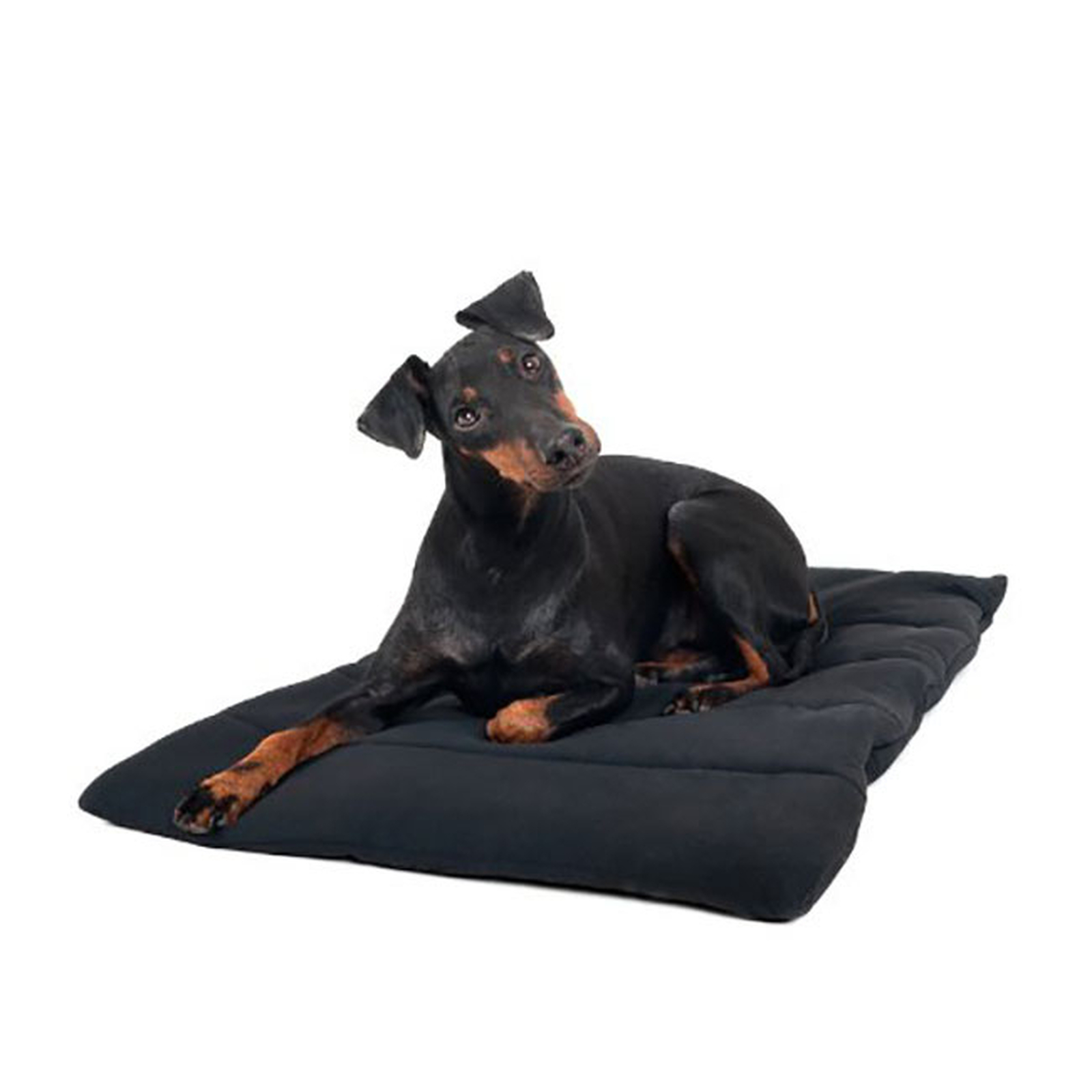 Back on Track Hondendeken