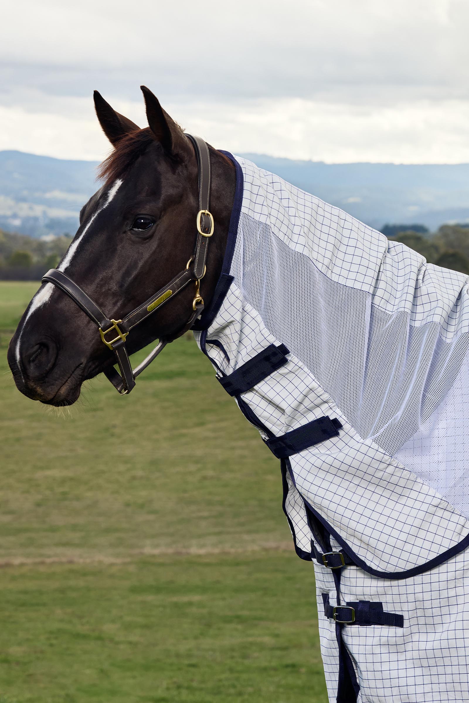 Weatherbeeta Airstream Combo met vaste hals, 0 g  