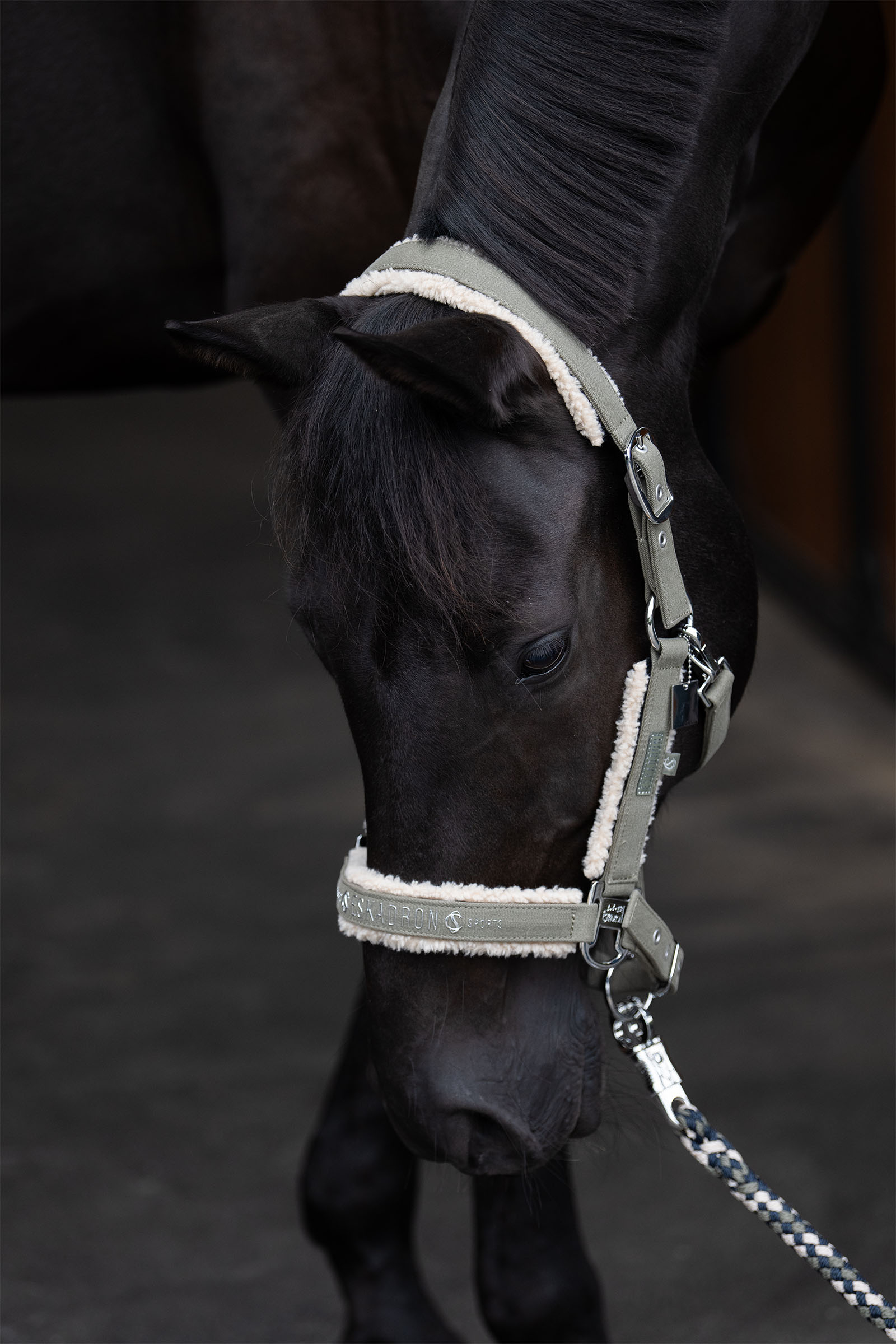 Eskadron Classic Sports SS25 Denim halster met dubbele pin en teddyfleece