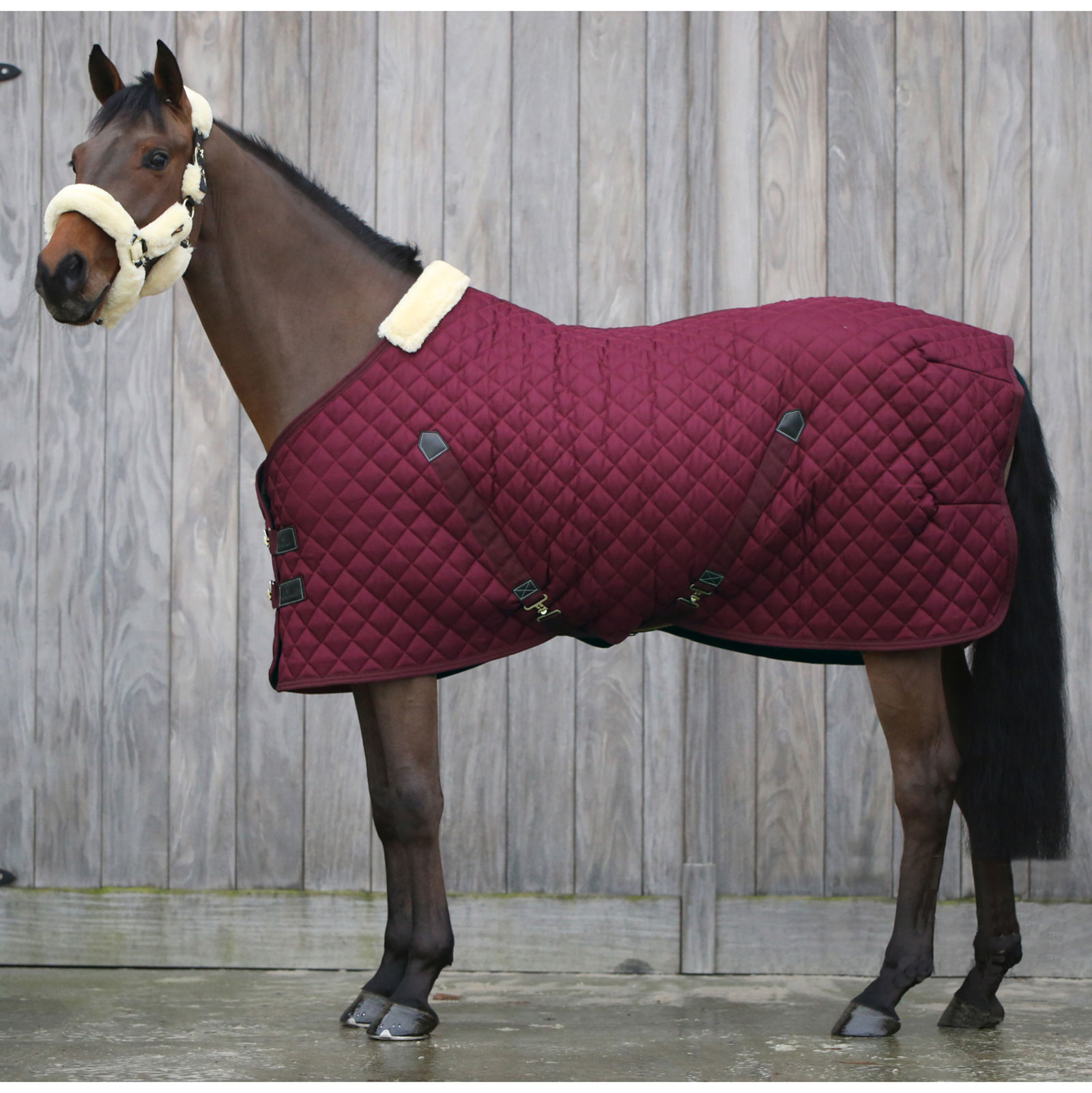 Dark Red Kentucky Horsewear Staldeken 400g