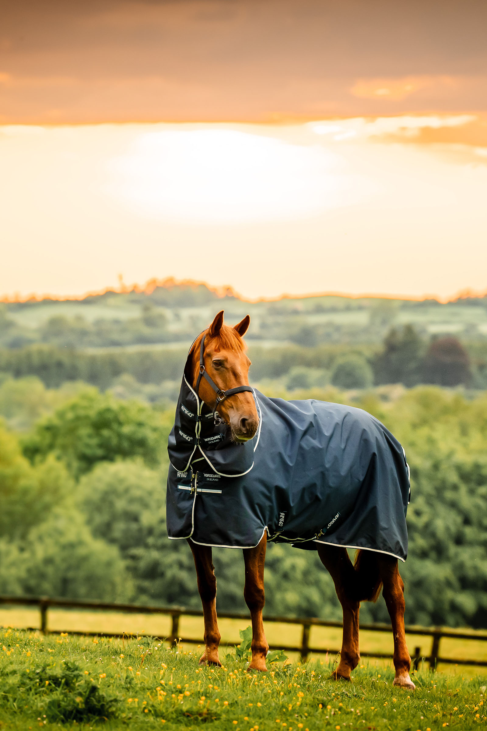 Witney Navy Horseware Amigo Ripstop 900D Plus outdoordeken met afneembaar halsdeel, 100 g