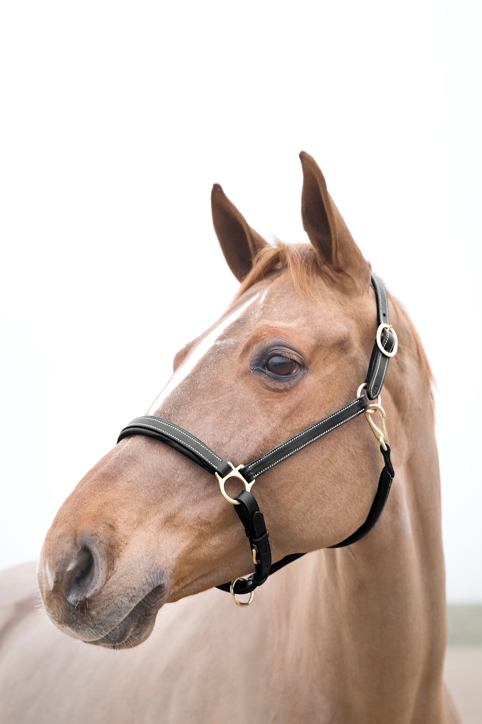 Horze Largo Leren Halster