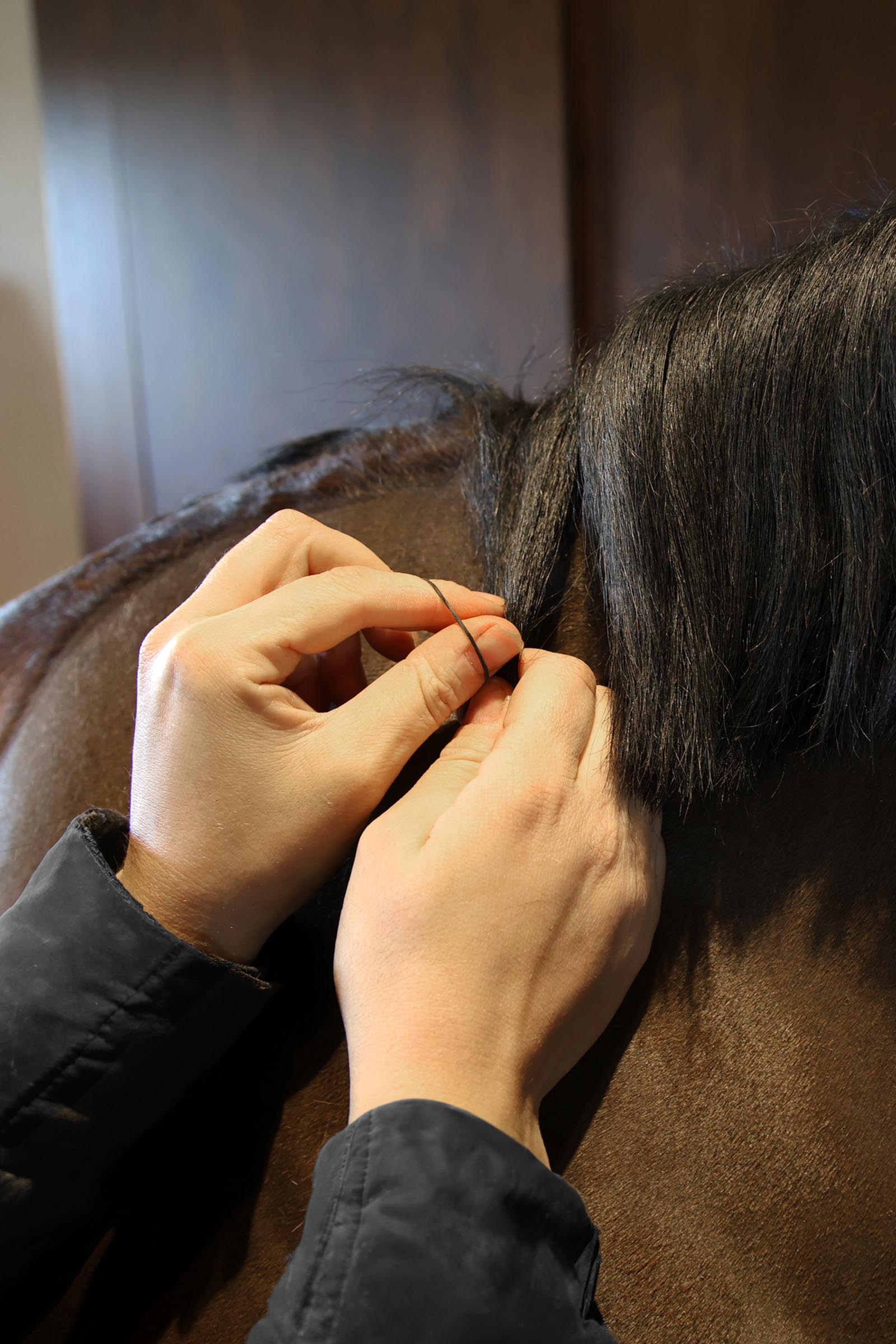 Grooming Deluxe manenelastiekjes (1500 stuks)  