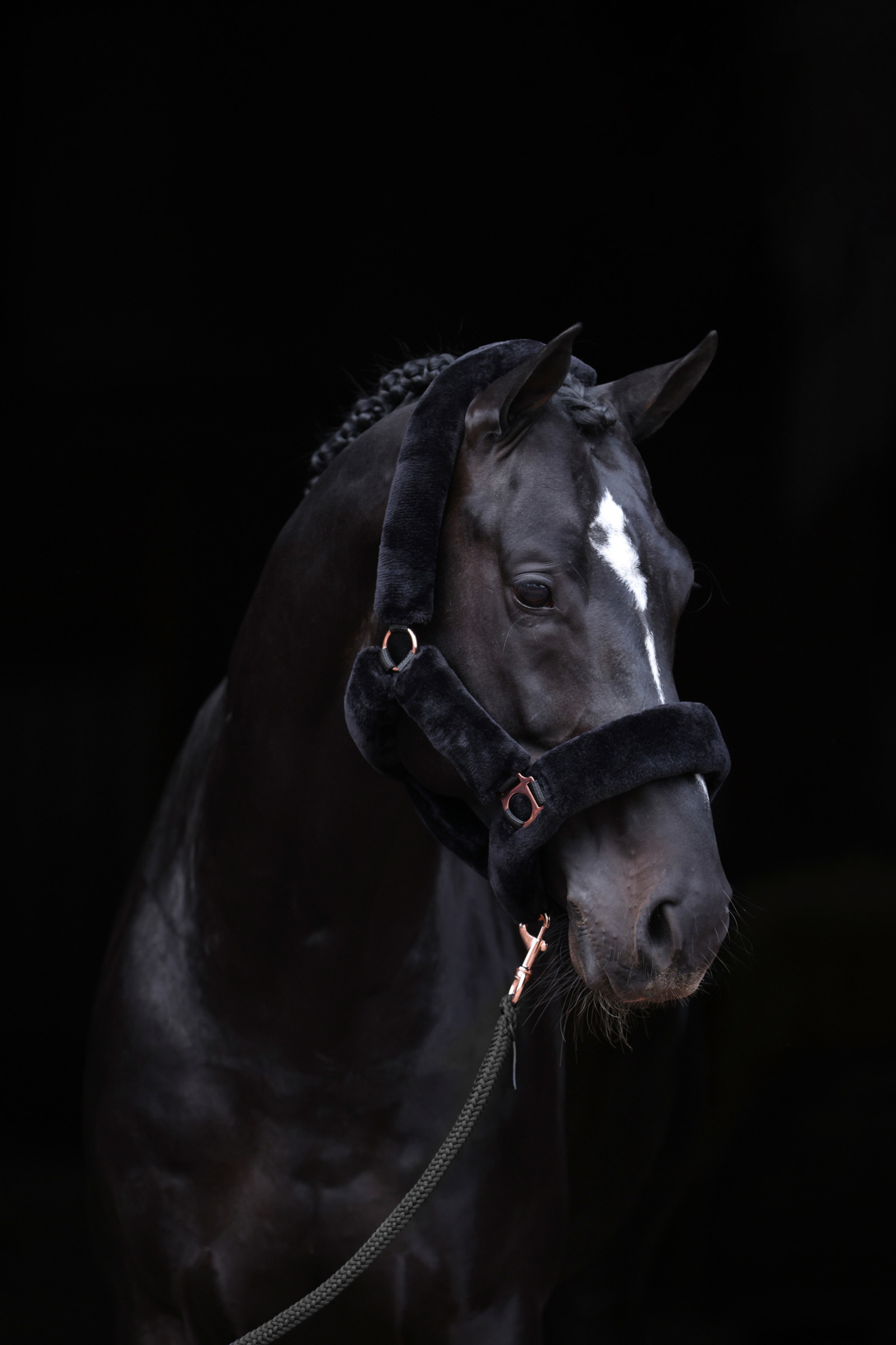 Covalliero SuperSoft halster