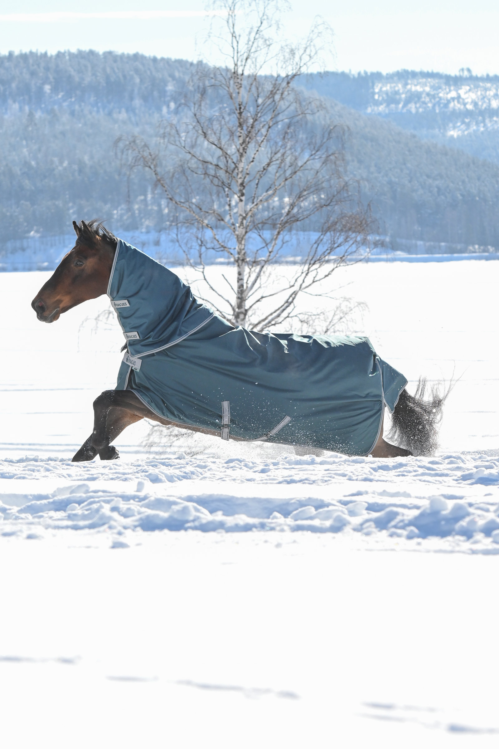 Bucas Atlantic halsdeel voor outdoordeken, 300 g