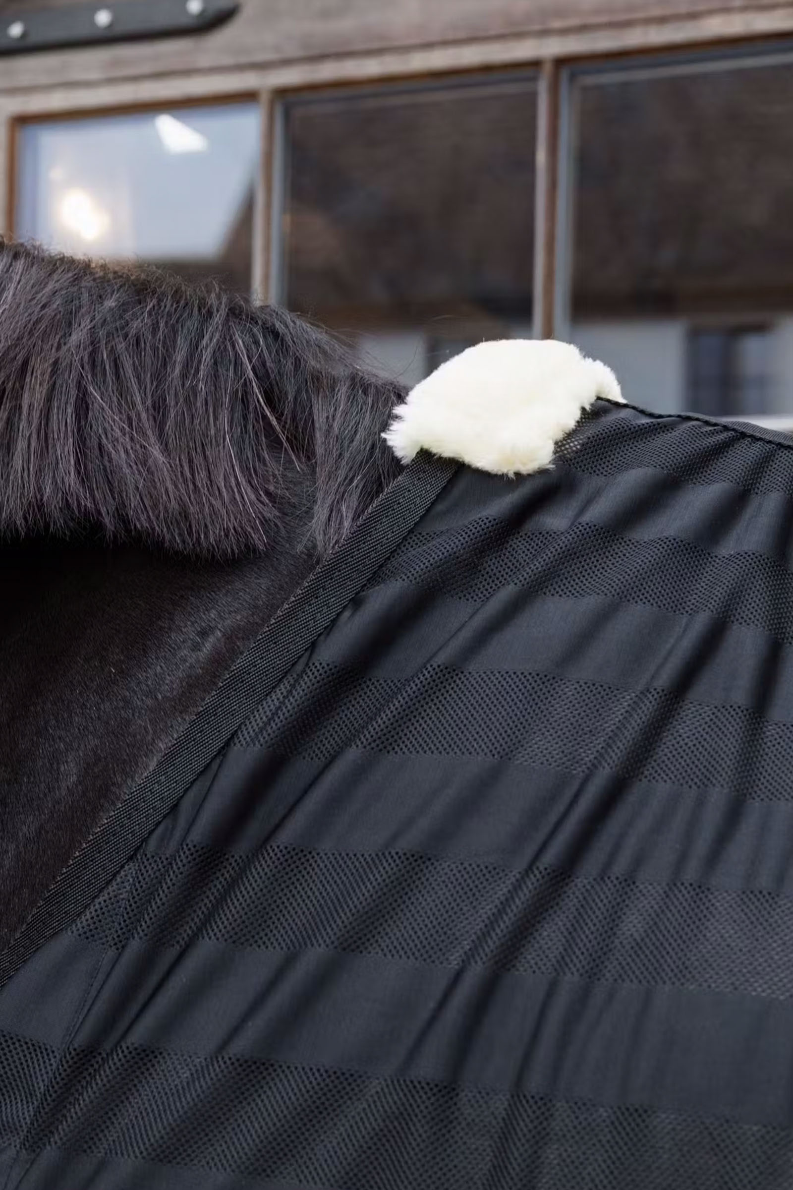 Kentucky Horsewear lichtgewicht gestreepte vliegendeken van mesh