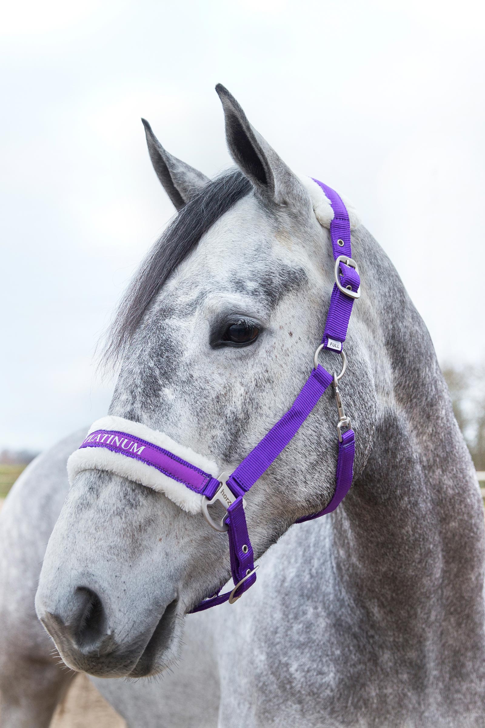 Horze Howard halster