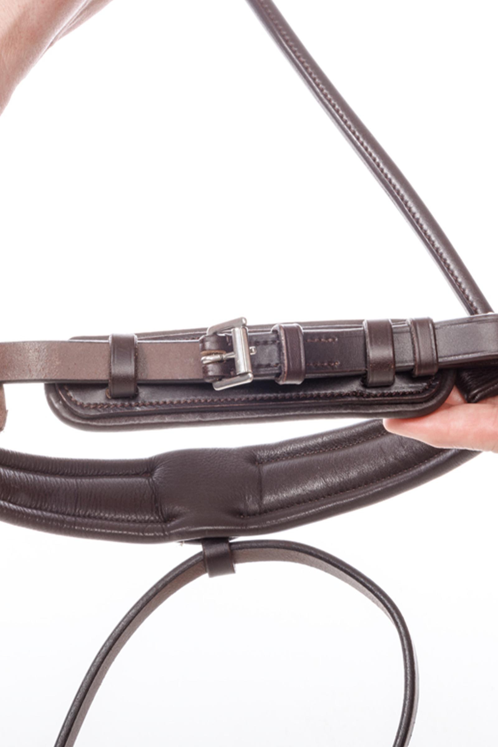 Kavalkade Alter Schwede lus voor Zweedse neusriem