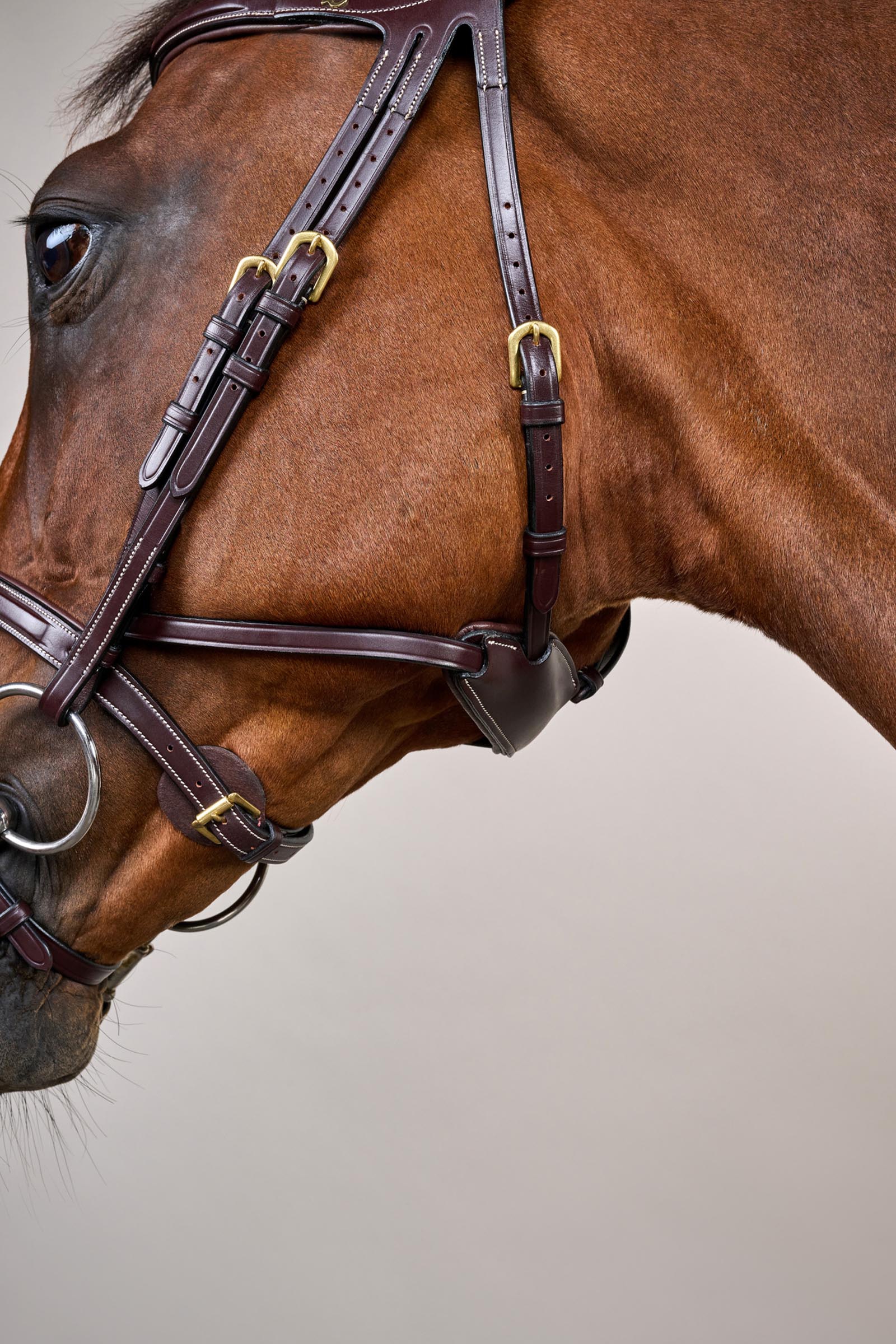 Dy'on D-Collection Difference hoofdstel  