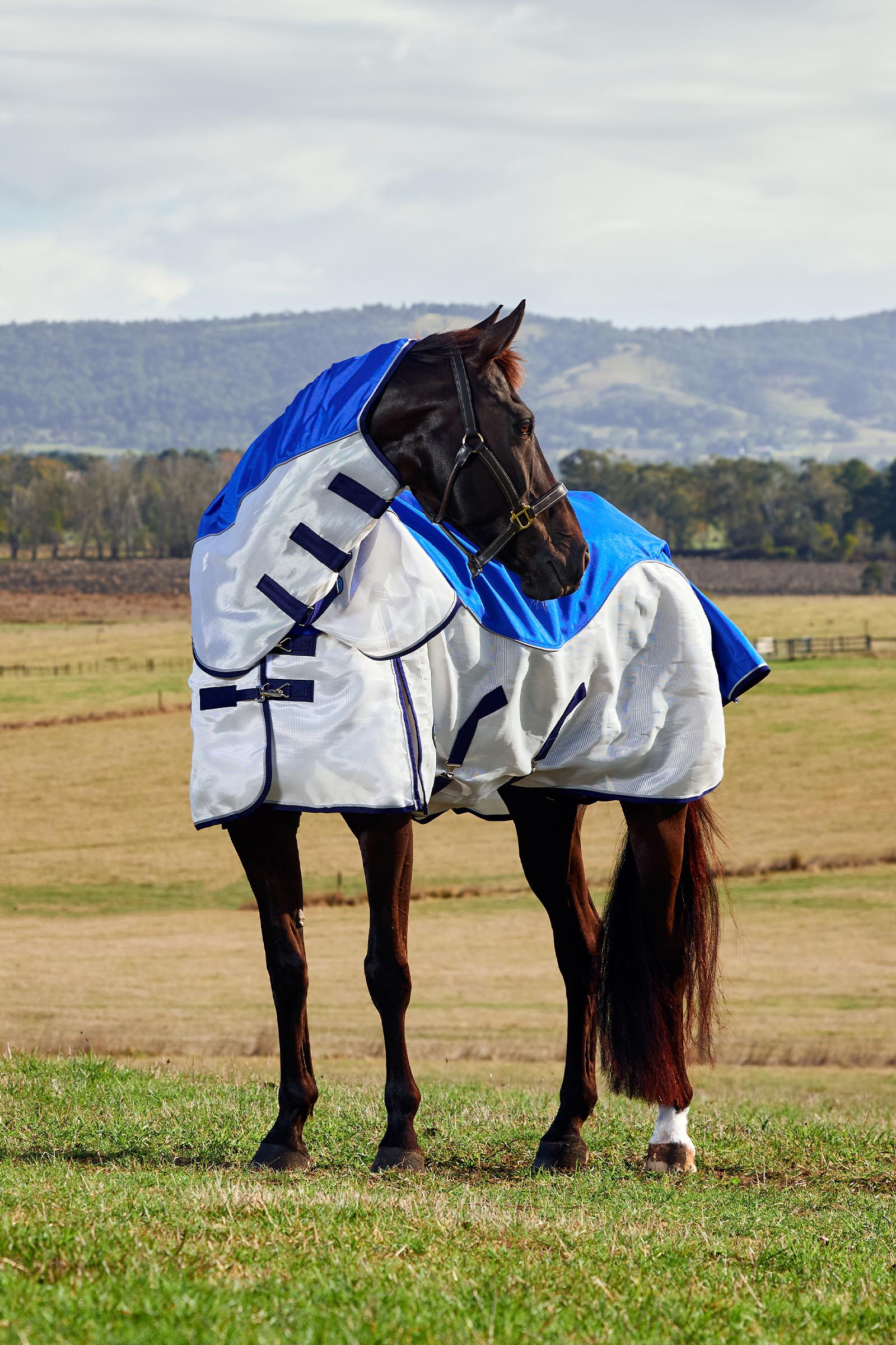 Weatherbeeta ComFiTec Duo Shield Outdoor deken met afneembare hals, 0 g  