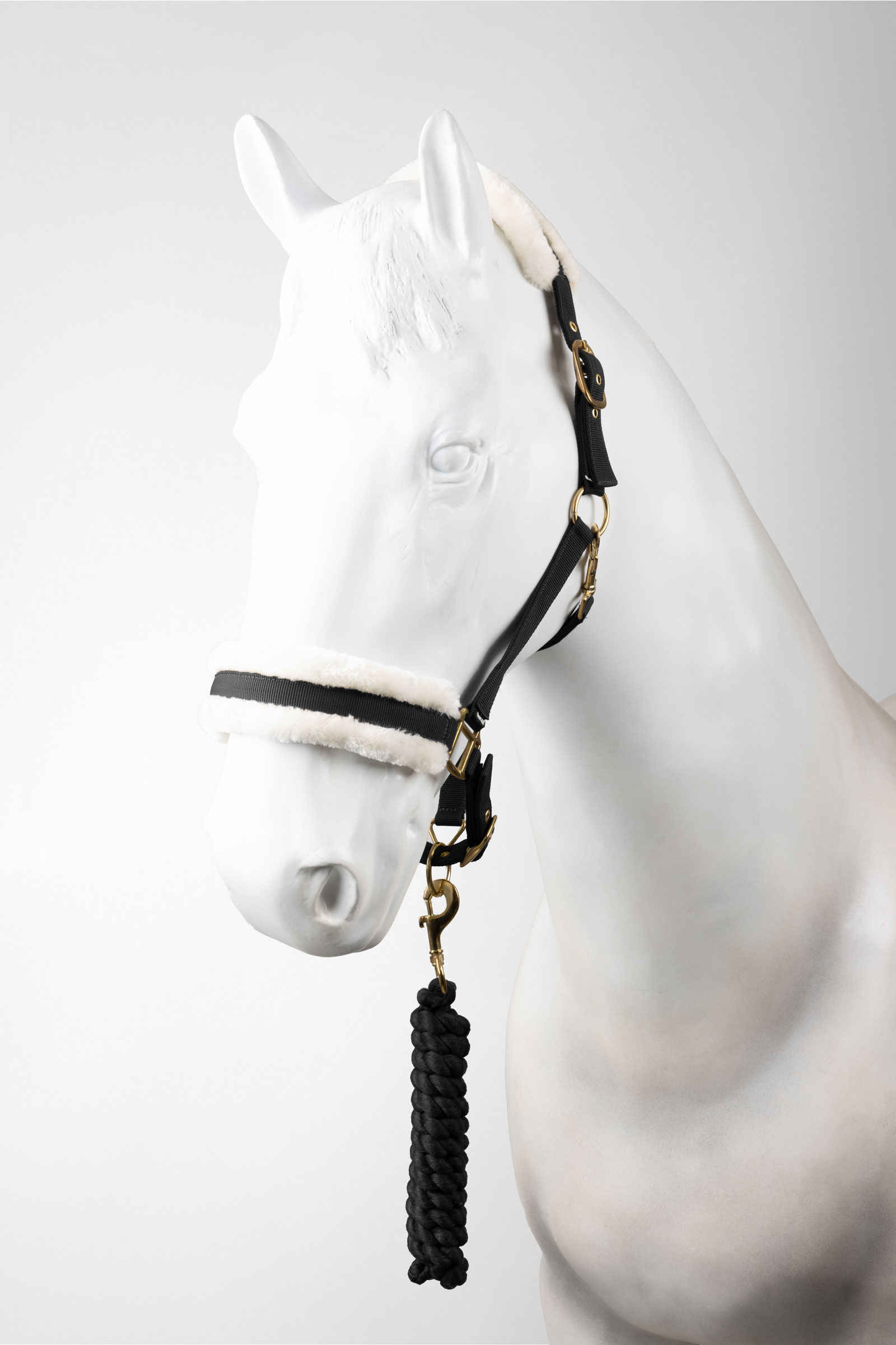 Black Horze halster & halstertouw set