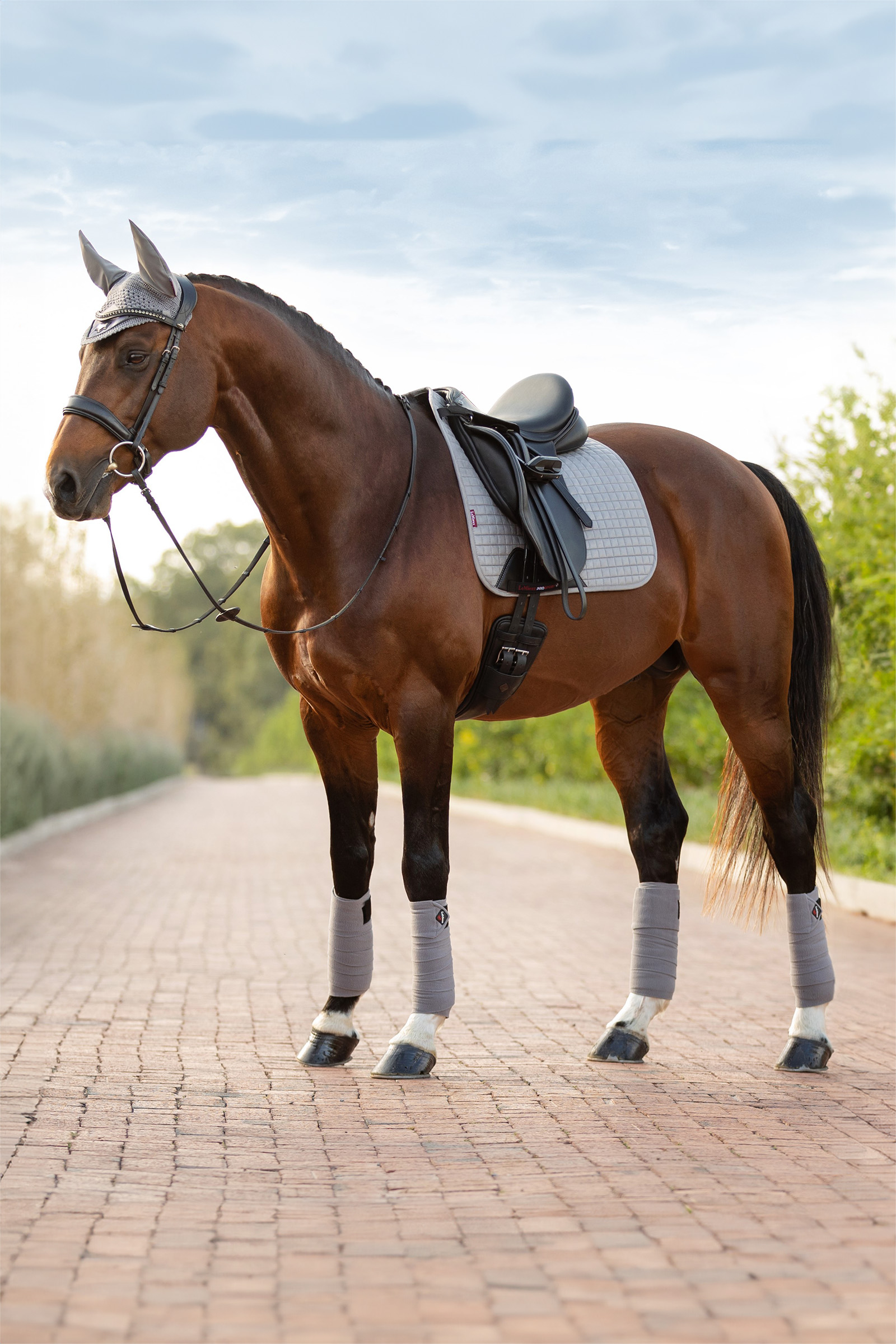 Grey LeMieux Suede dressuurzadeldek