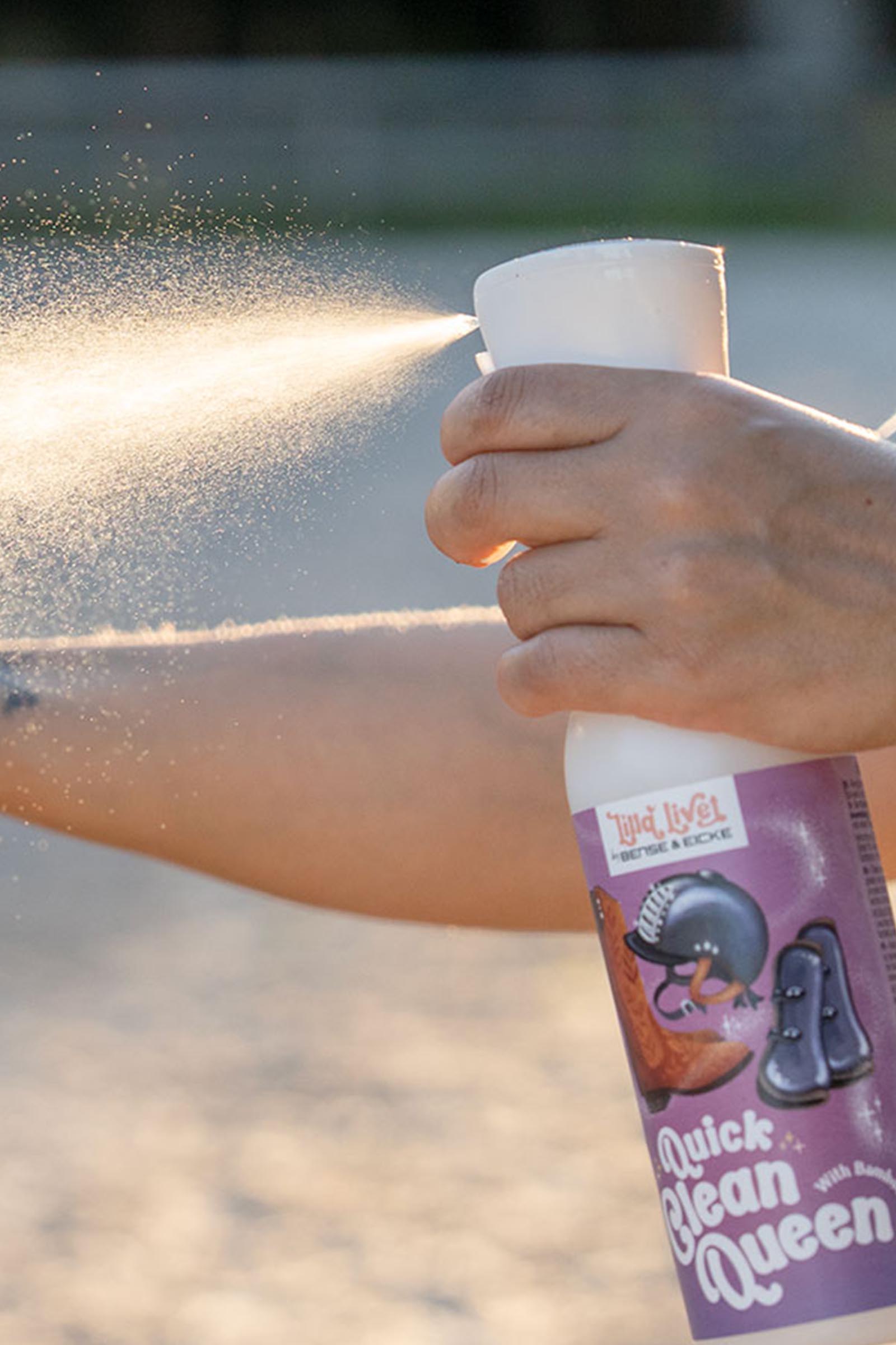 Bense & Eicke Lilla Livet Quick Clean Queen reiniger voor uitrusting, 500 ml