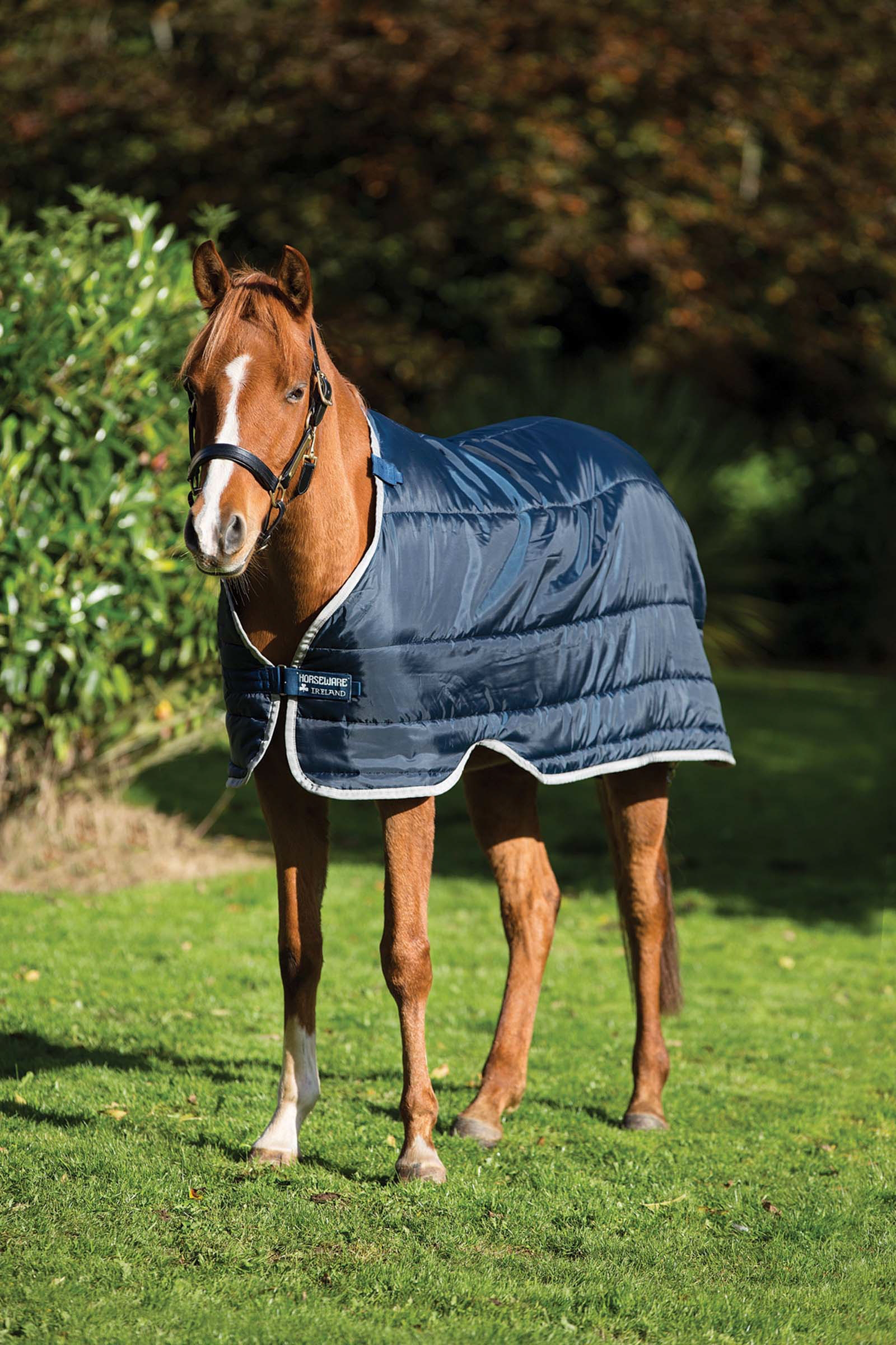 Horseware HW Pony Liner 200 grams