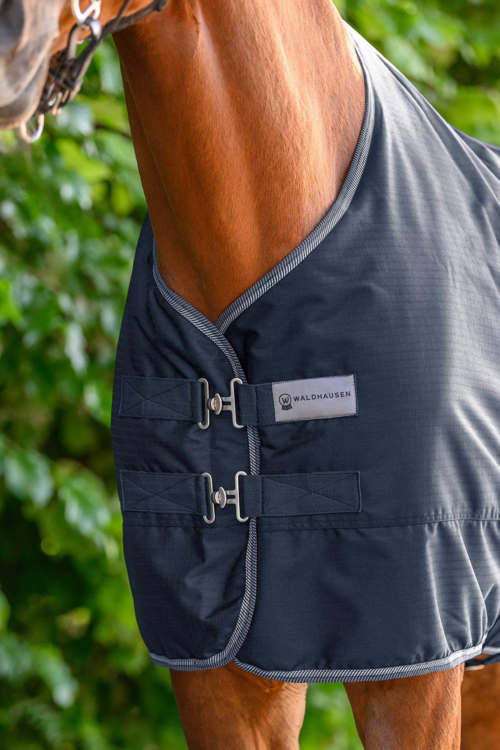 Waldhausen ECONOMIC lichte outdoordeken