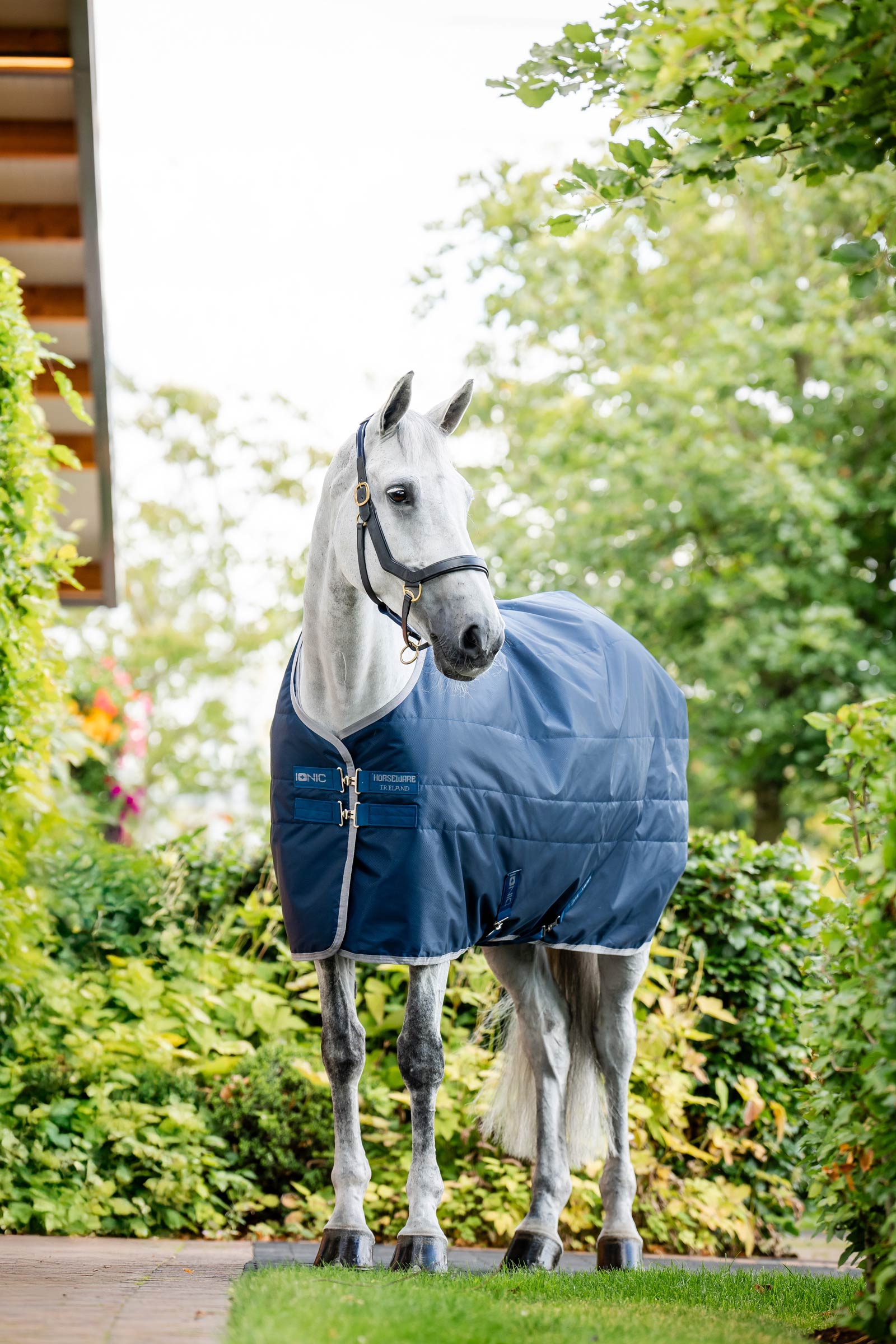 Horseware Ionic Therapy Staldeken, 50g