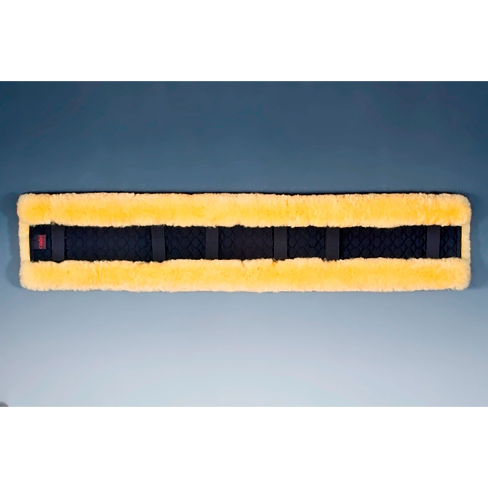 Christ Zadeldek, 100