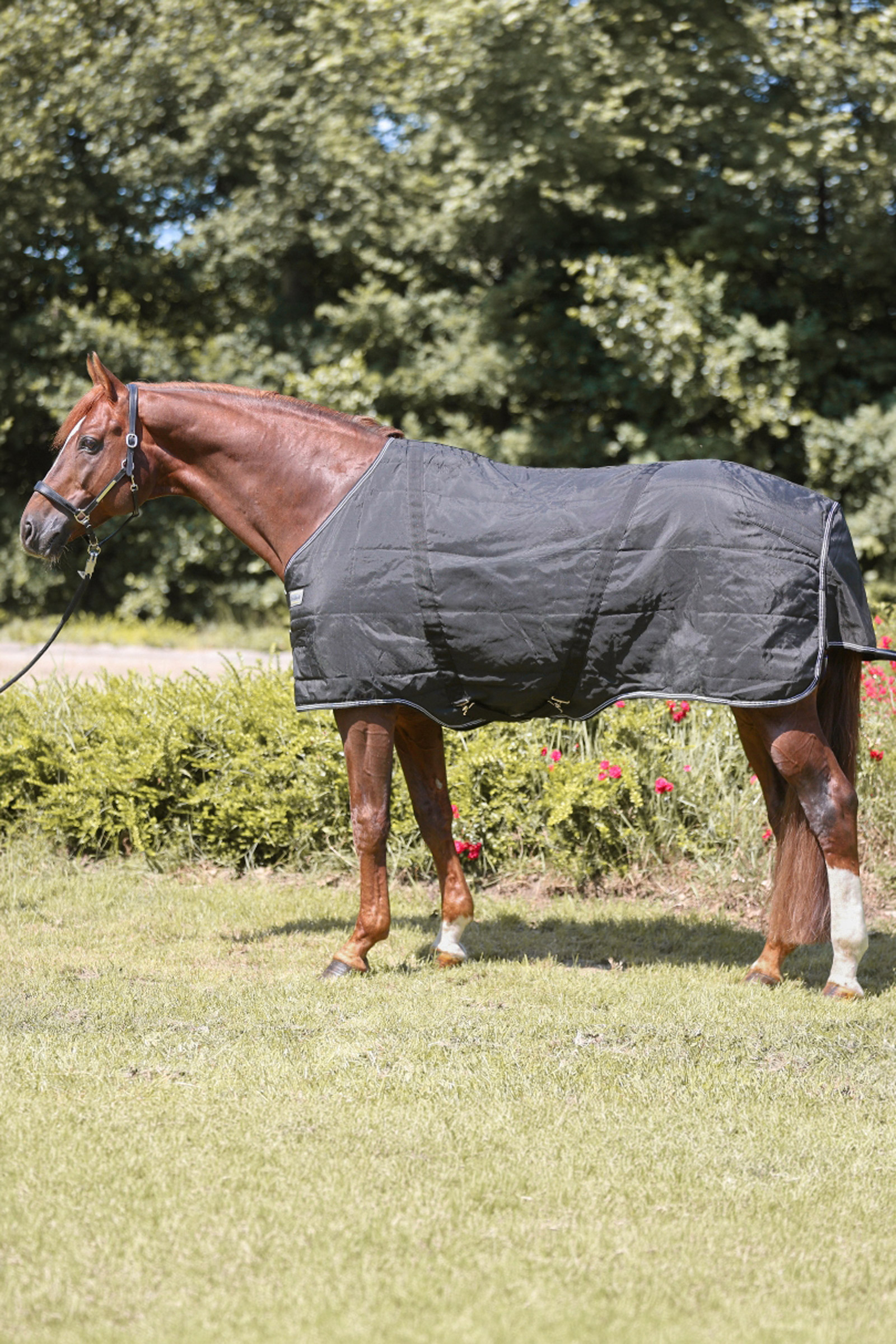 Kavalkade Stallion deken, 400 g