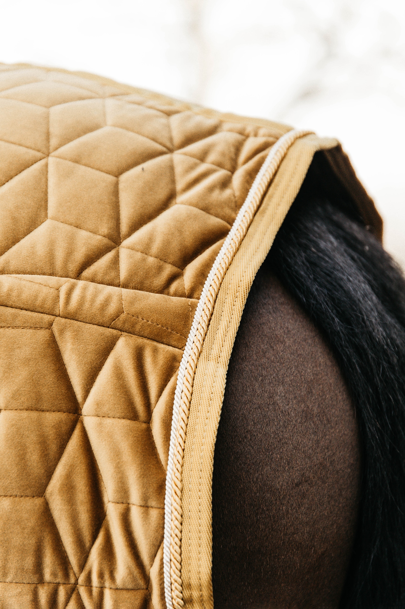 Kentucky Horsewear Pony Showdeken Velvet, 160g